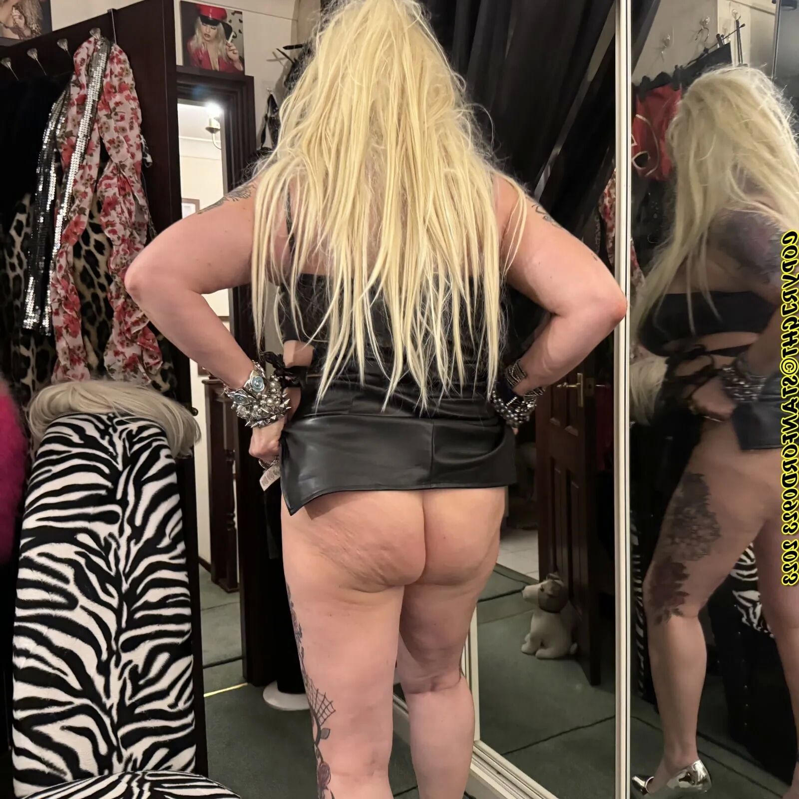BLONDES DO IT BEST SHIRLEY - 106 Pics