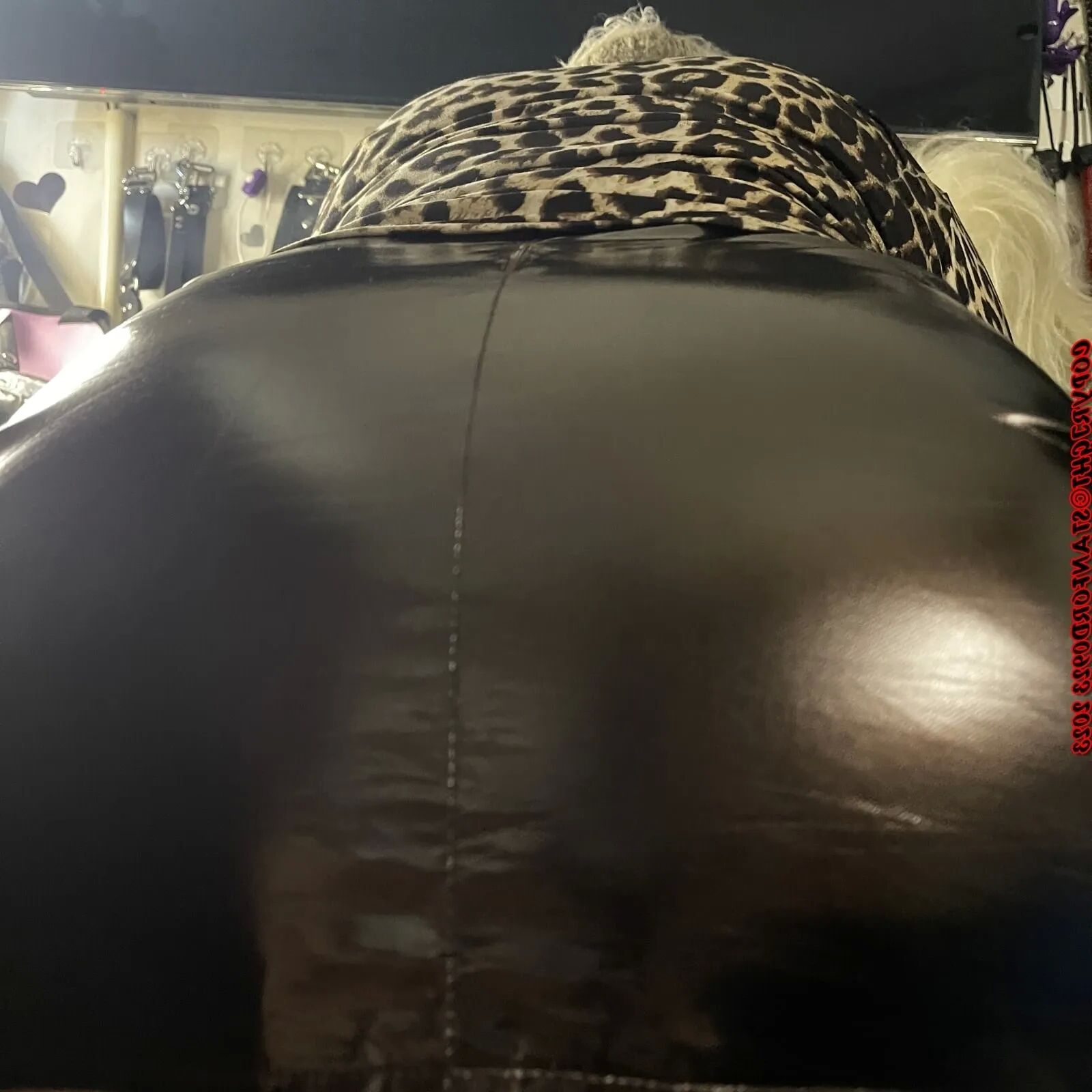 ABSOLUTE FILTH BUT STILL CUTE SHIRLEY - 126 Pics