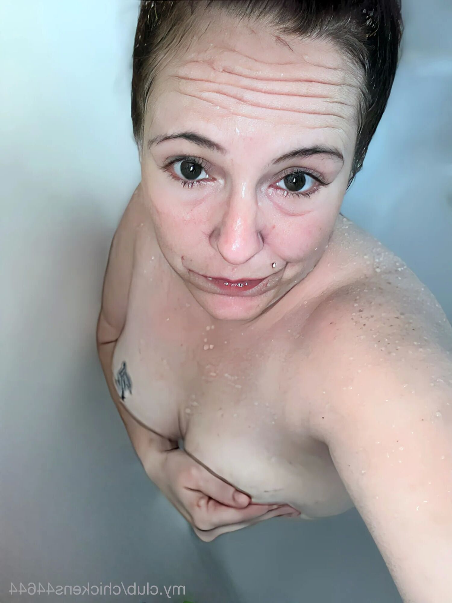 Amanda Chickens44644 Free Photos - 5 Pics