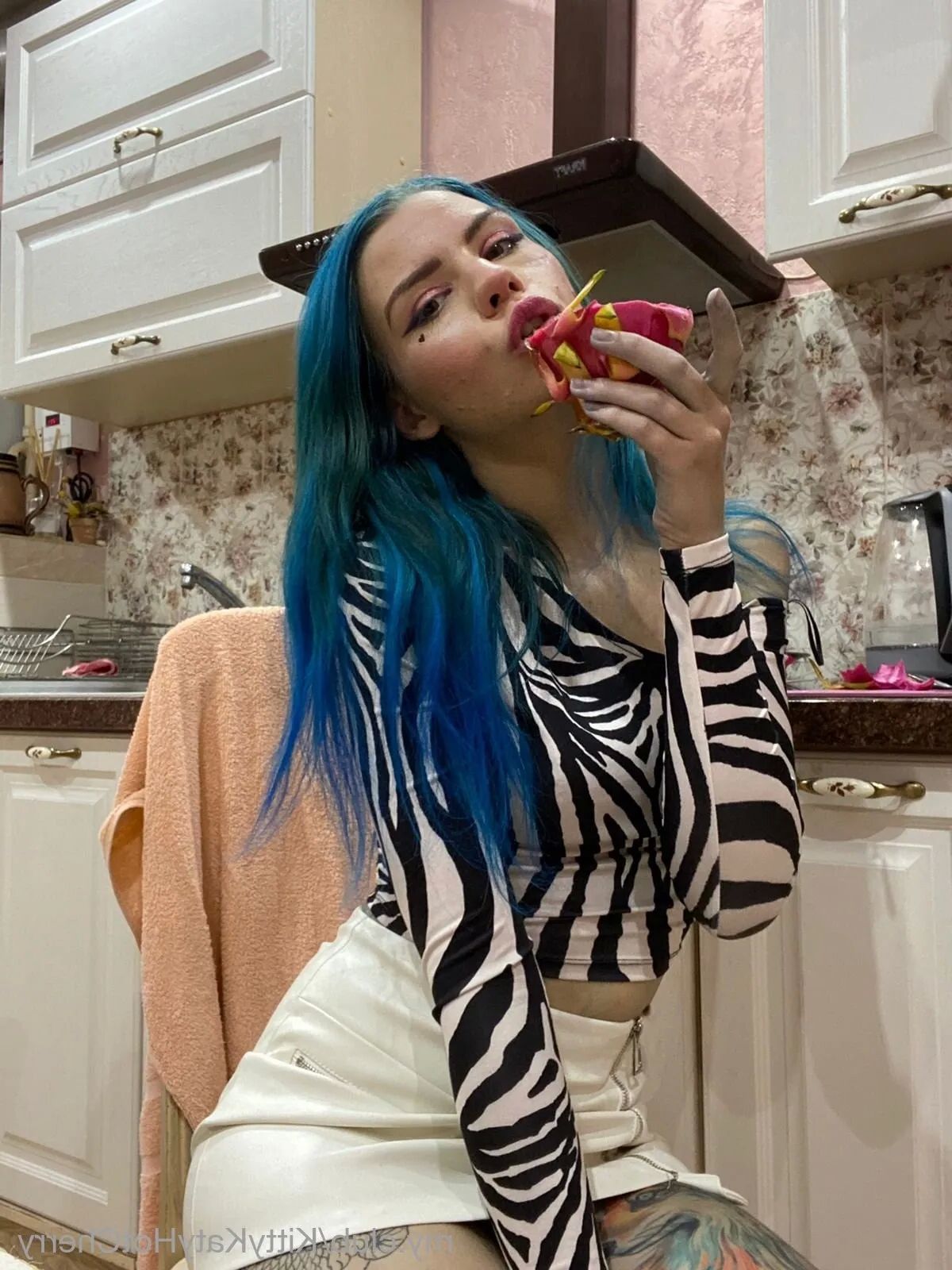 KittyKat Free Photos - 66 Pics