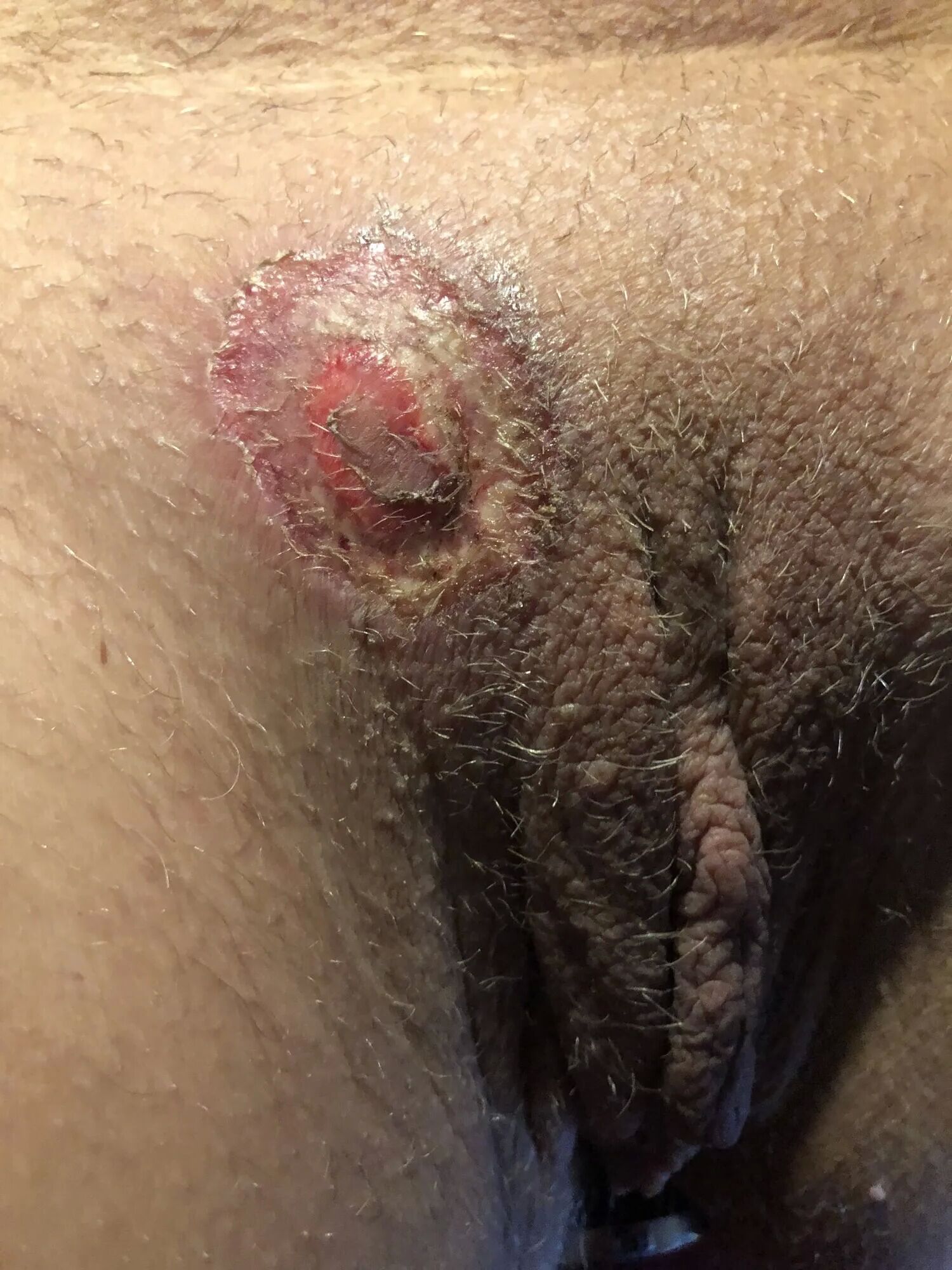 My Pussy Branding - 5 Pics