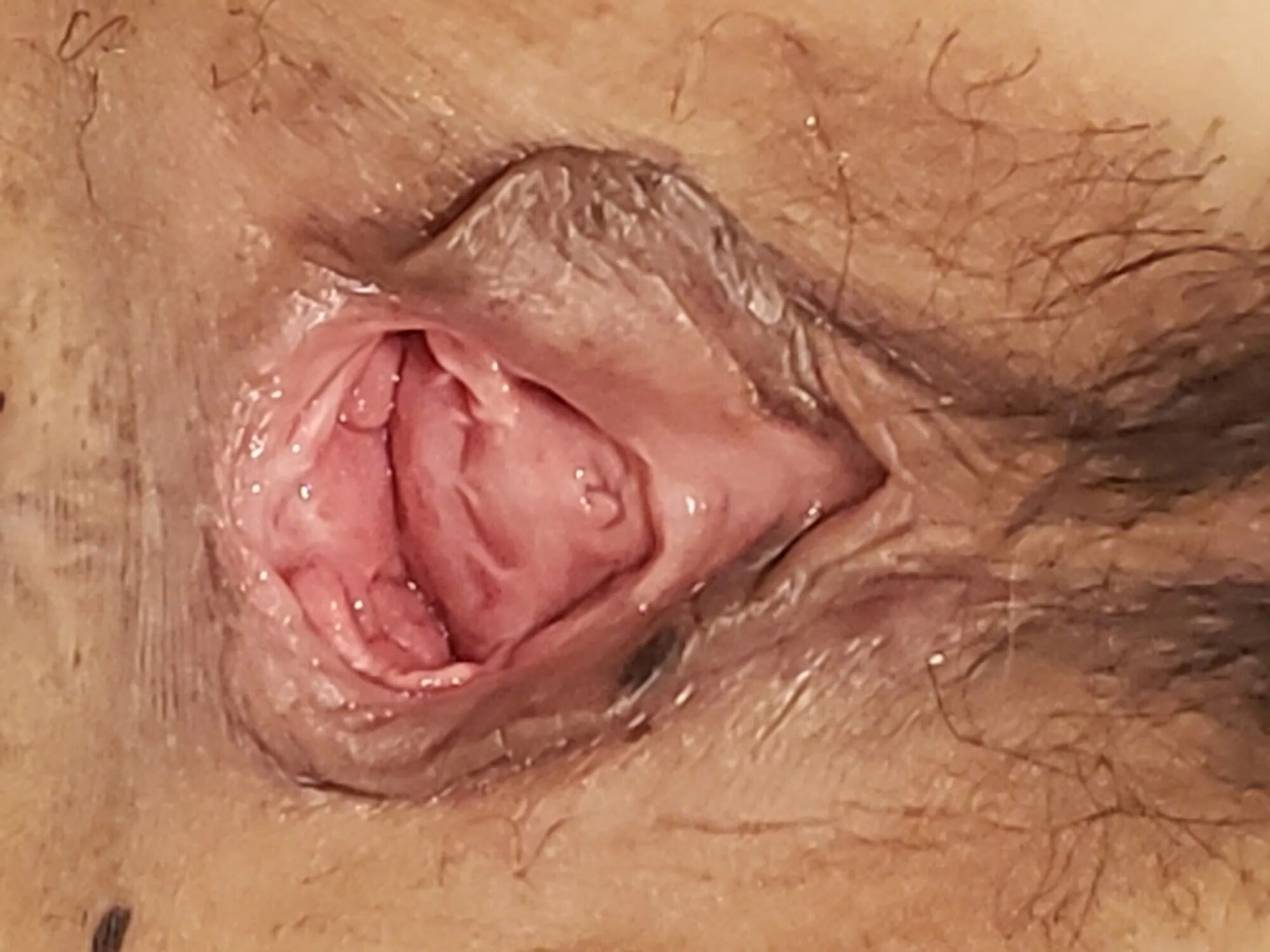 Wife pussy close up - 13 Pics