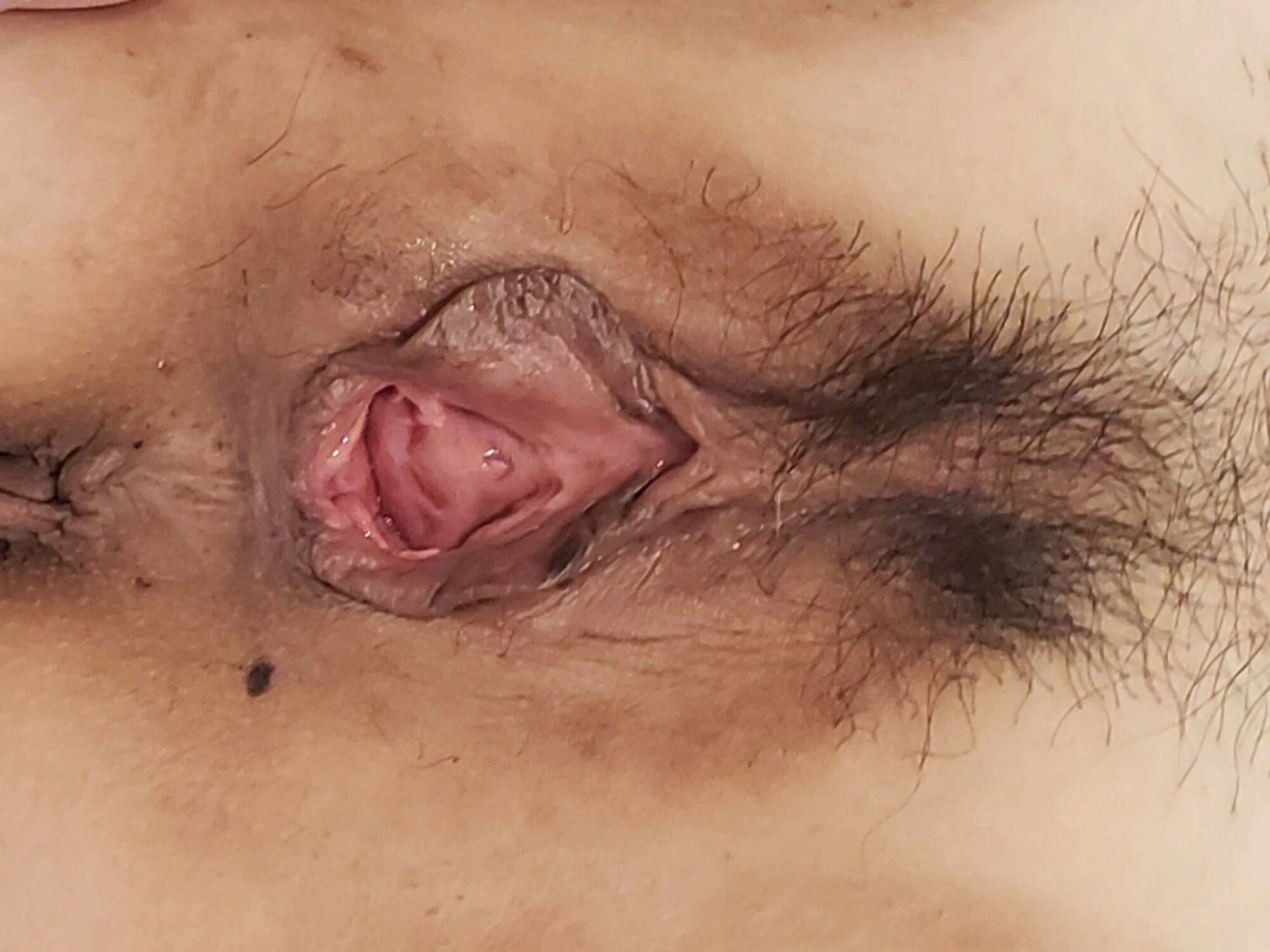 Wife pussy close up - 13 Pics