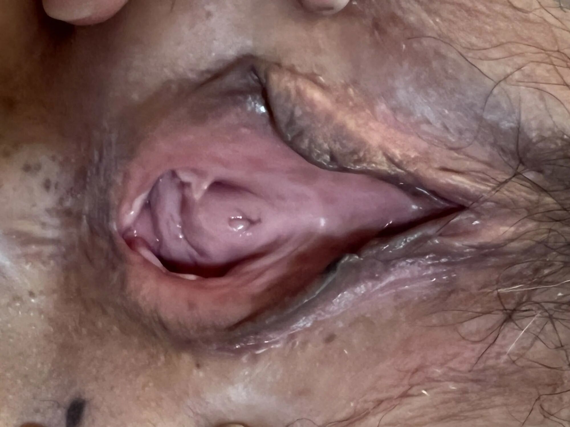 Wife pussy close up - 13 Pics