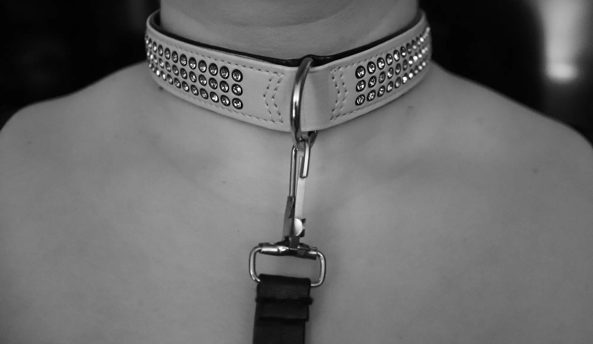 Moment avec mon maitre - 10 Pics