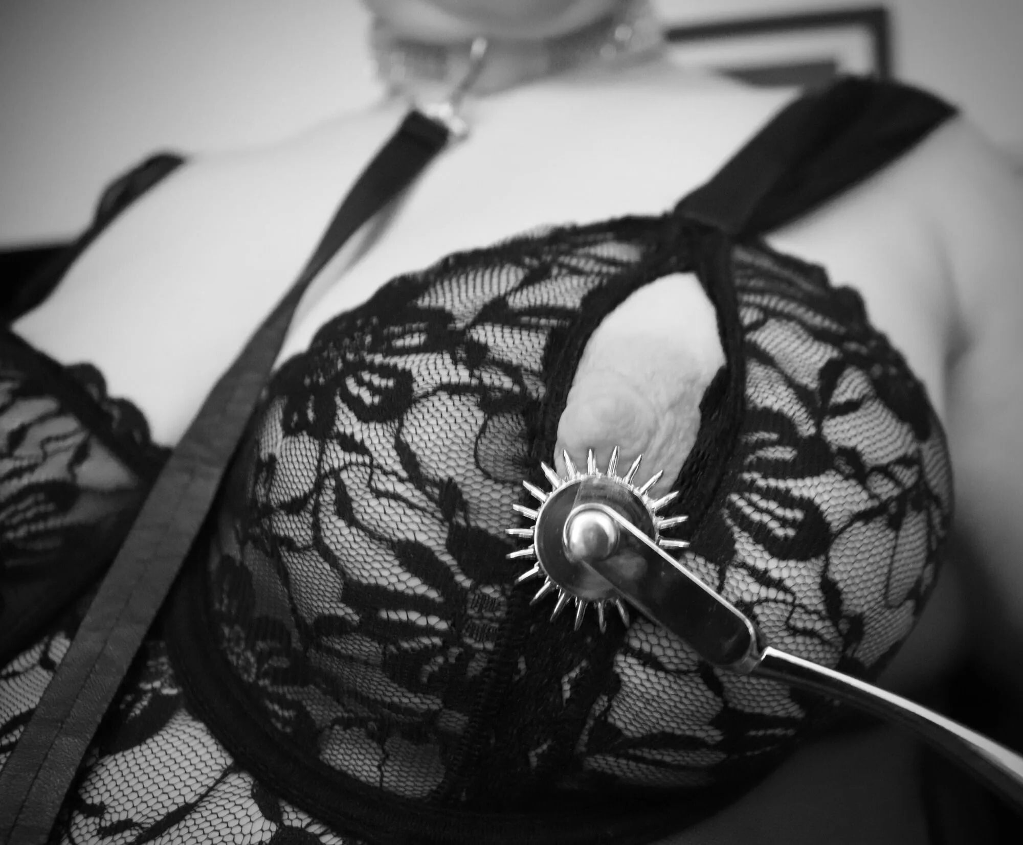 Moment avec mon maitre - 10 Pics