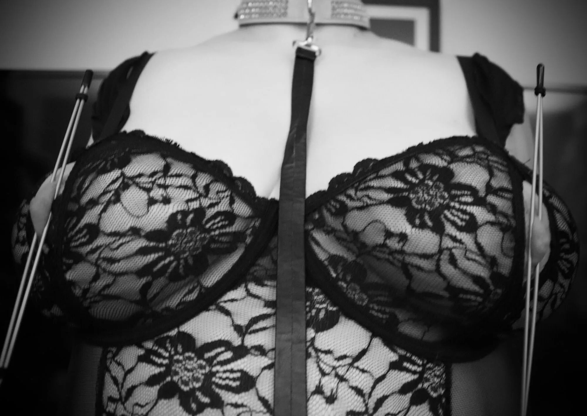 Moment avec mon maitre - 10 Pics
