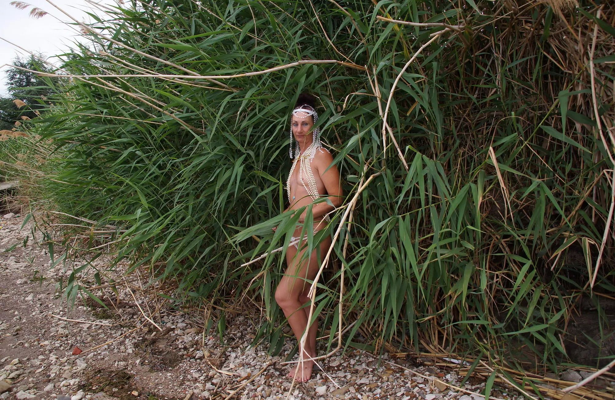 In the coastal reeds - 86 Pics