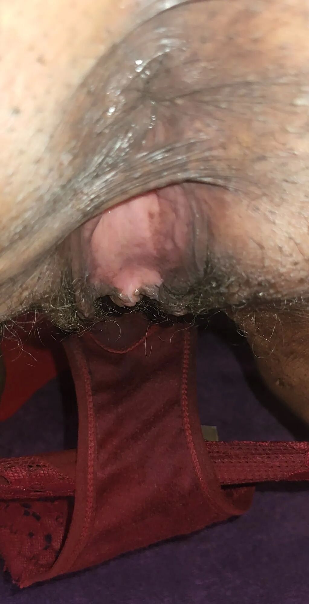 Licking Pussy, Ass and Panty - 30 Pics