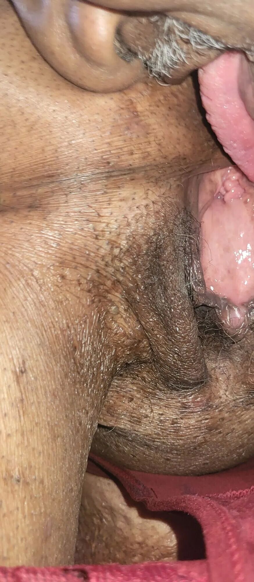 Licking Pussy, Ass and Panty - 30 Pics