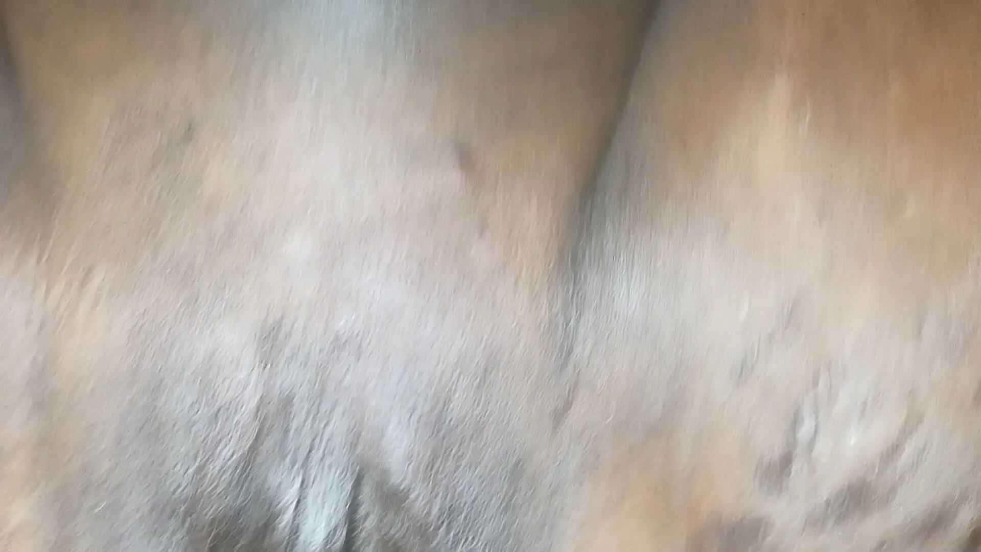 Dirty D69's Tight and Tiny African American Pussy - 90 Pics