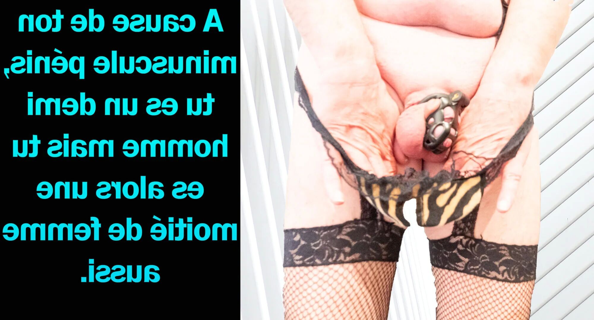 Femdom sissy chastity de 4450 - 95 Pics
