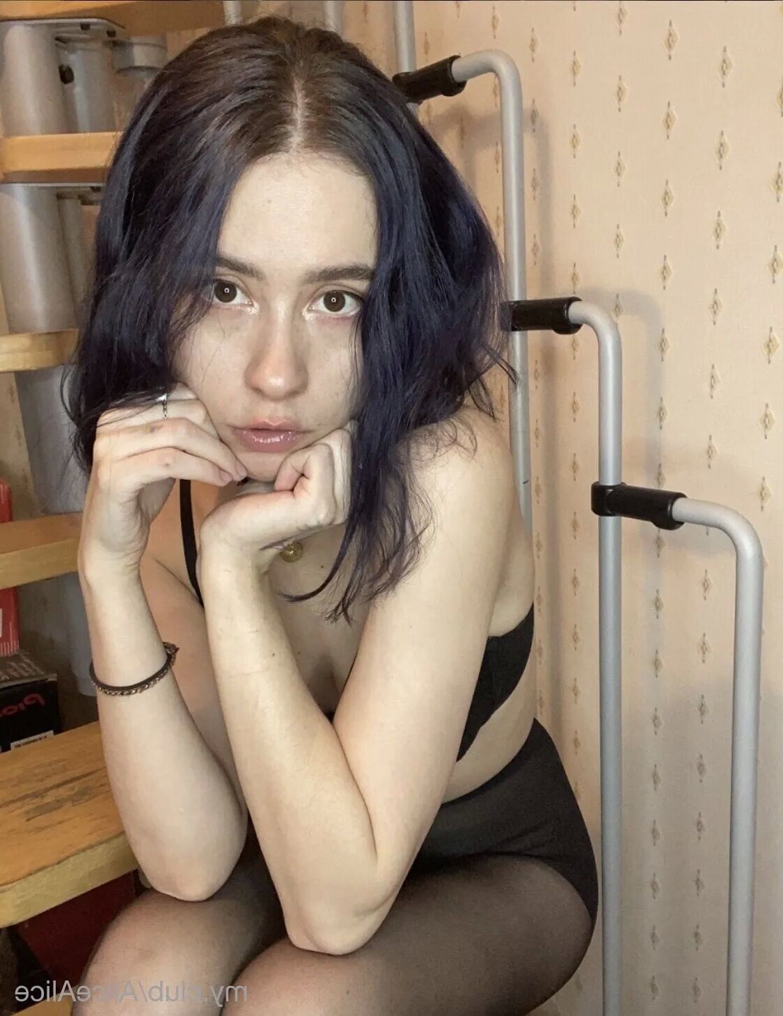 Alice Free Photos - 46 Pics