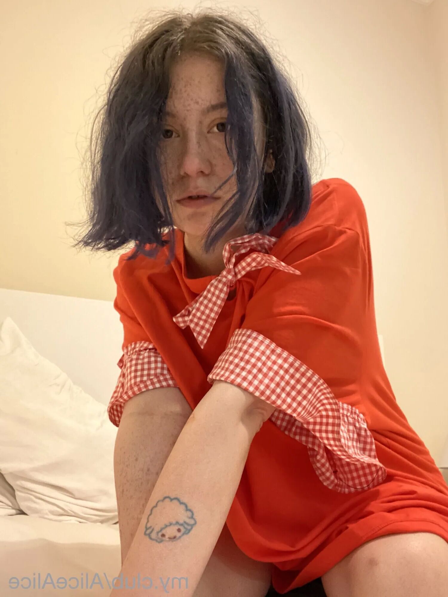 Alice Free Photos - 46 Pics