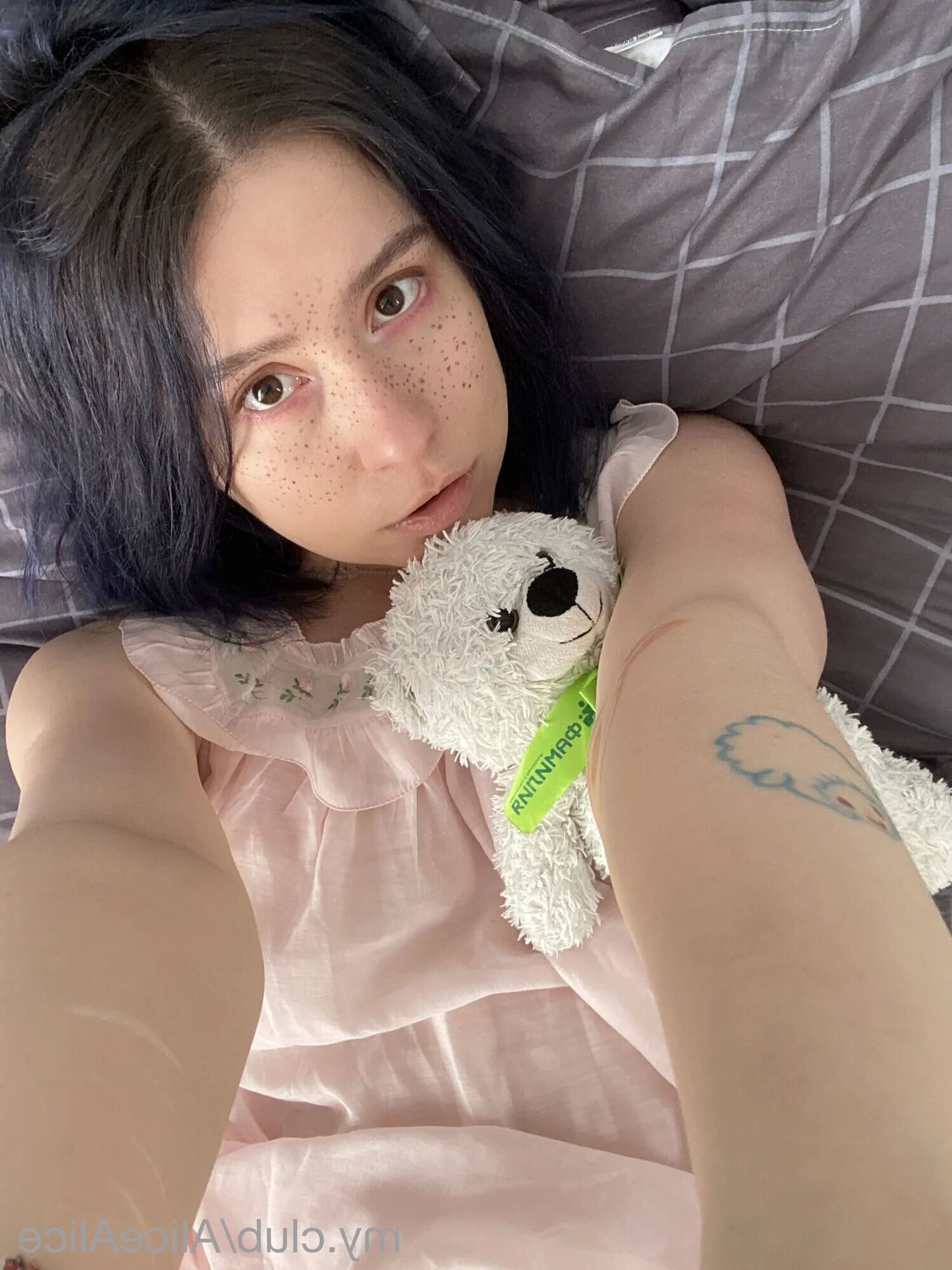 Alice Free Photos - 46 Pics
