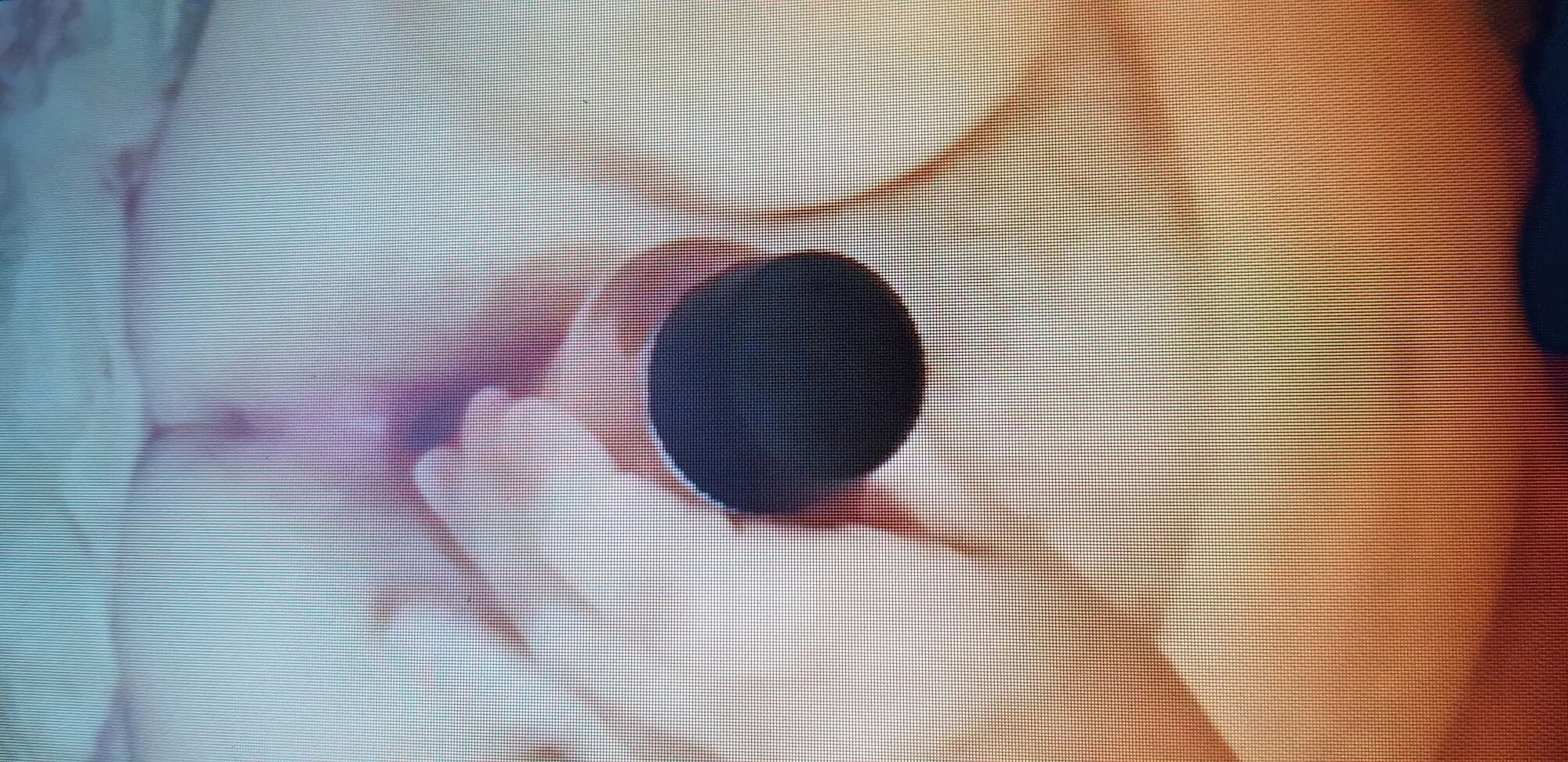 New pictures of my husband's little cock, it's so nice to su - 56 Pics