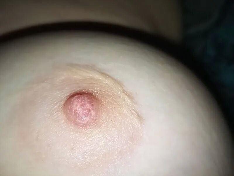 Pussy - 12 Pics