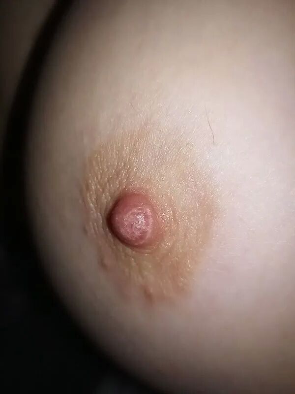 Pussy - 12 Pics