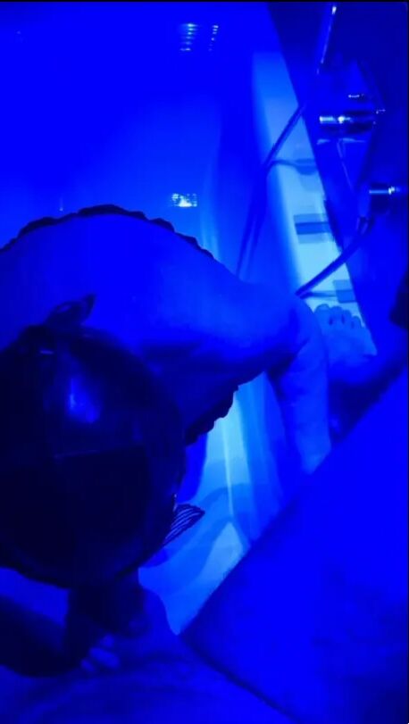 Blue Lights & Boundless Pleasure: A Master's Delight - 10 Pics