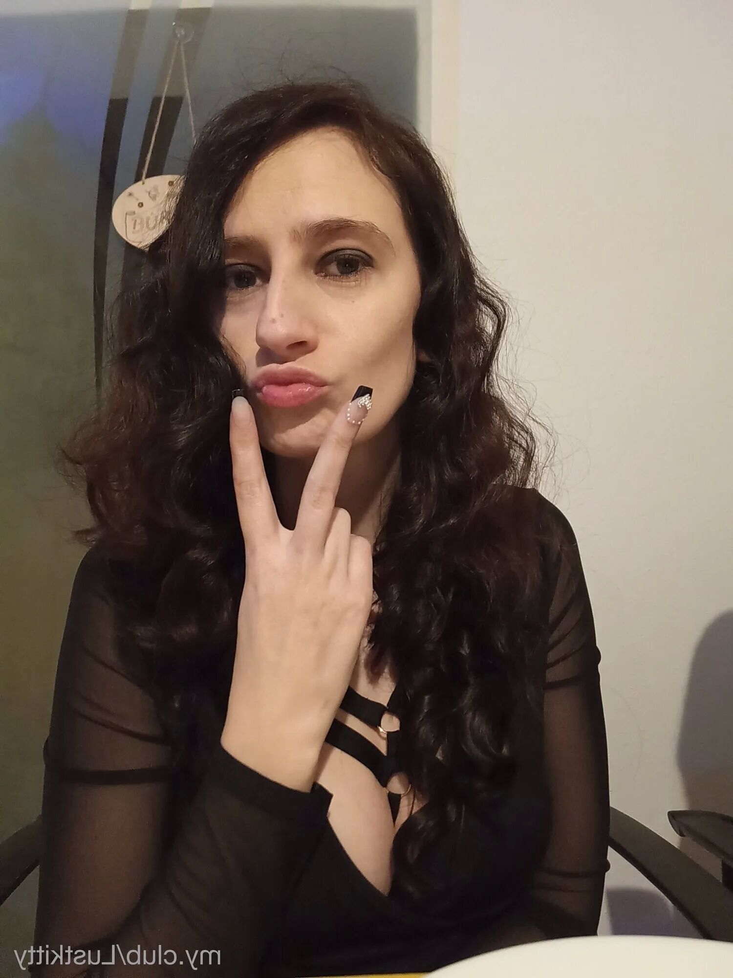 Kitty Free Photos - 7 Pics