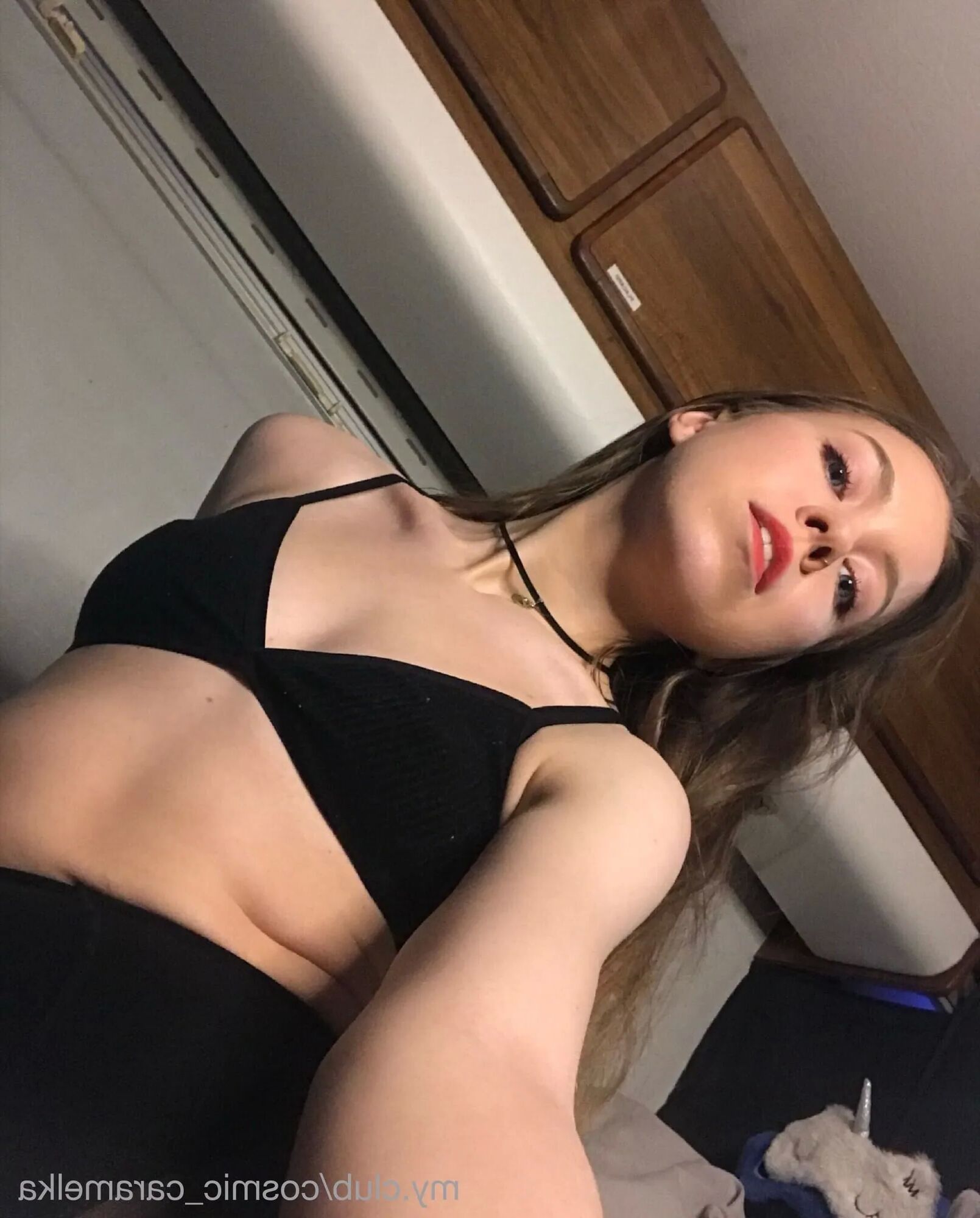 Lys Free Photos - 6 Pics