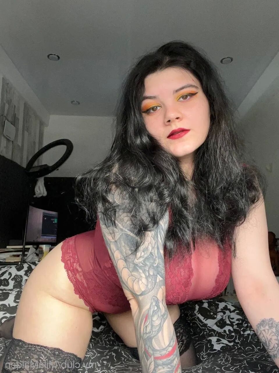 Milpopsweb Free Photos - 12 Pics