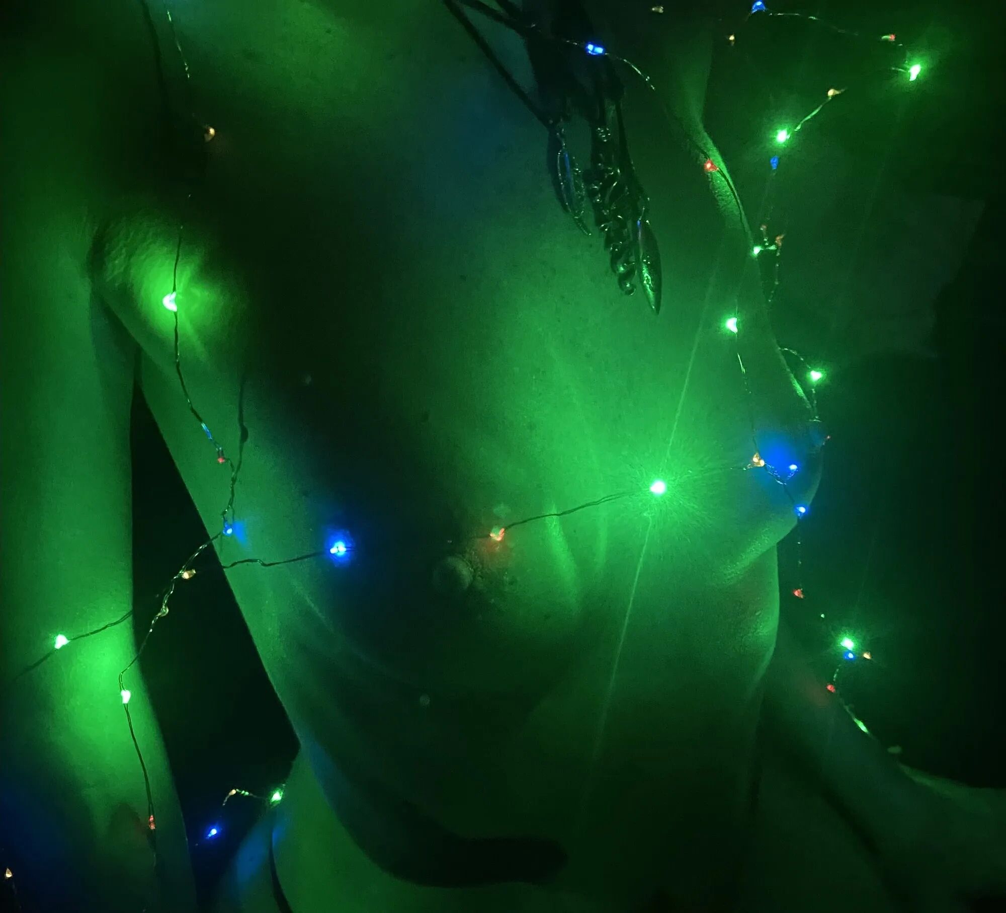 LIGHTING UP MY BODY WITH CHRISTMAS - 10 Pics