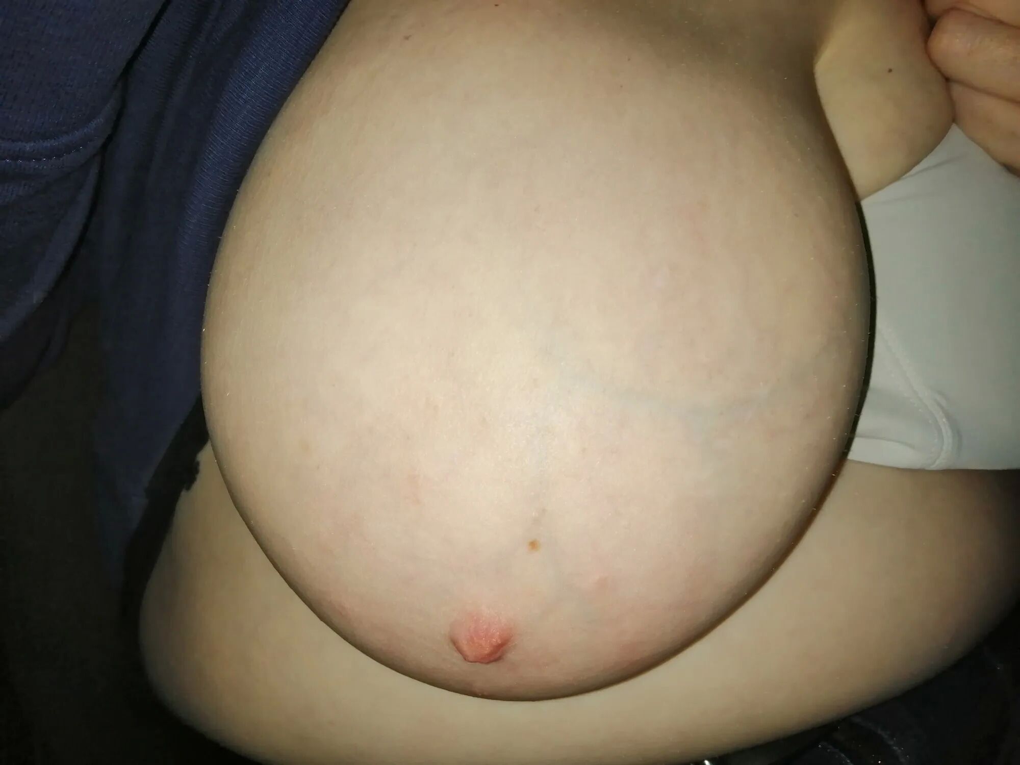 Tits in a car - 46 Pics