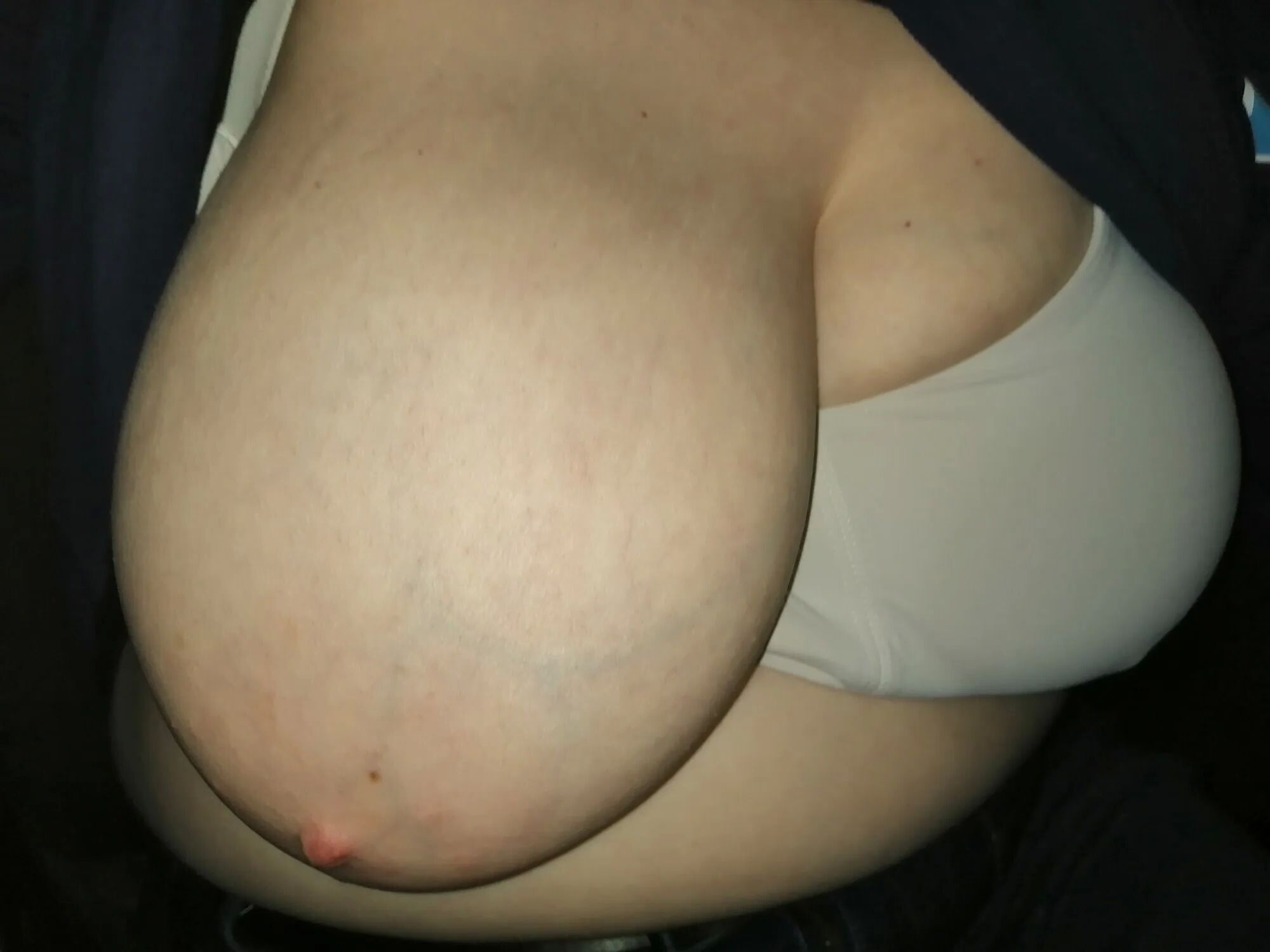 Tits in a car - 46 Pics
