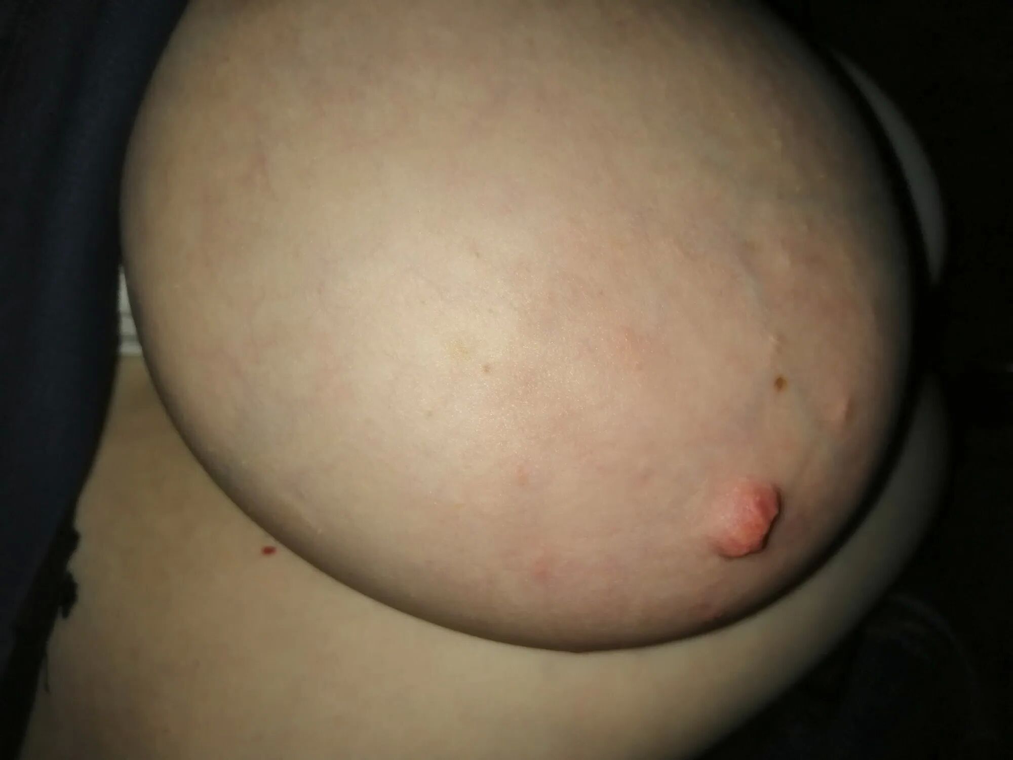 Tits in a car - 46 Pics