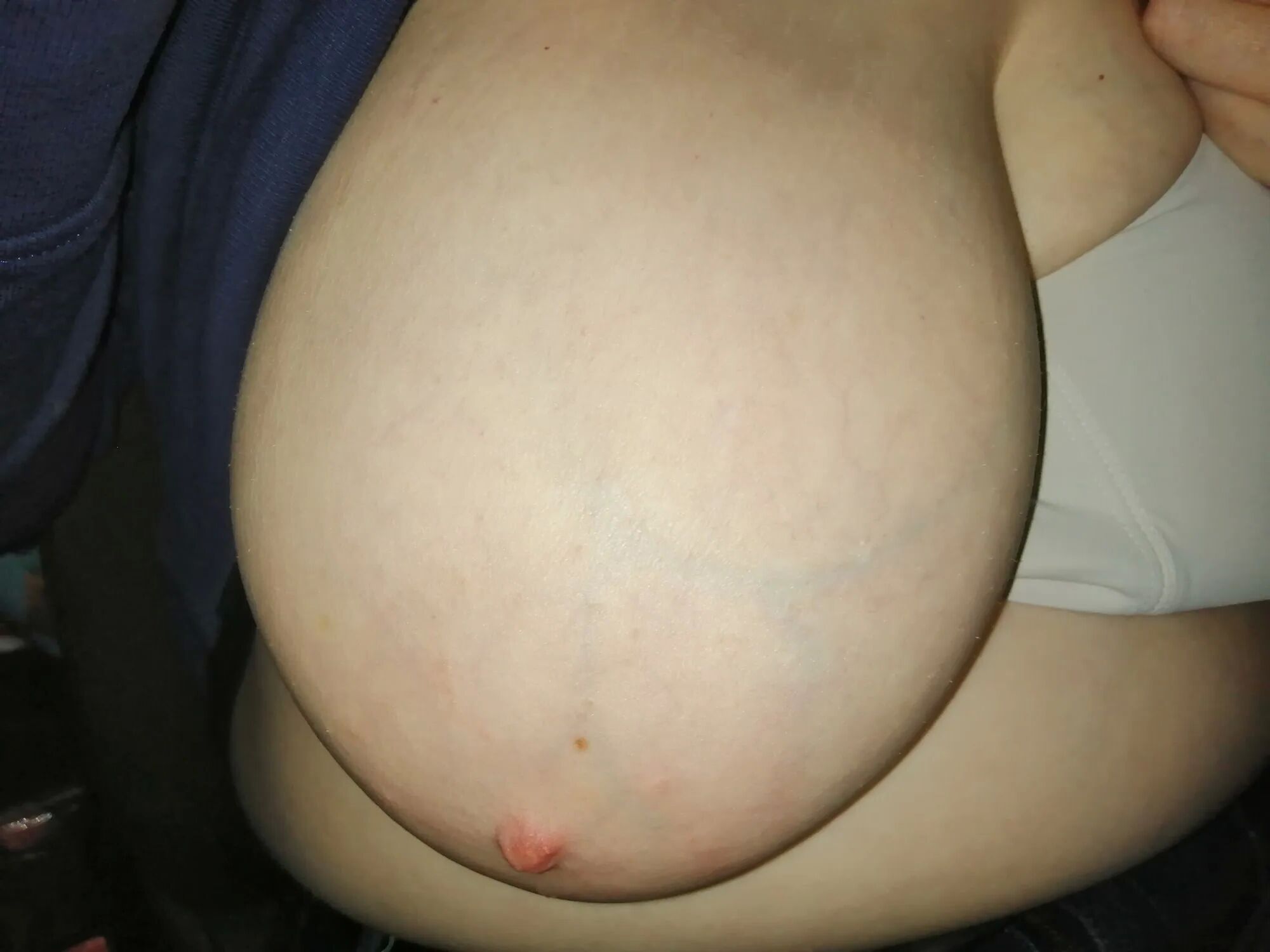 Tits in a car - 46 Pics