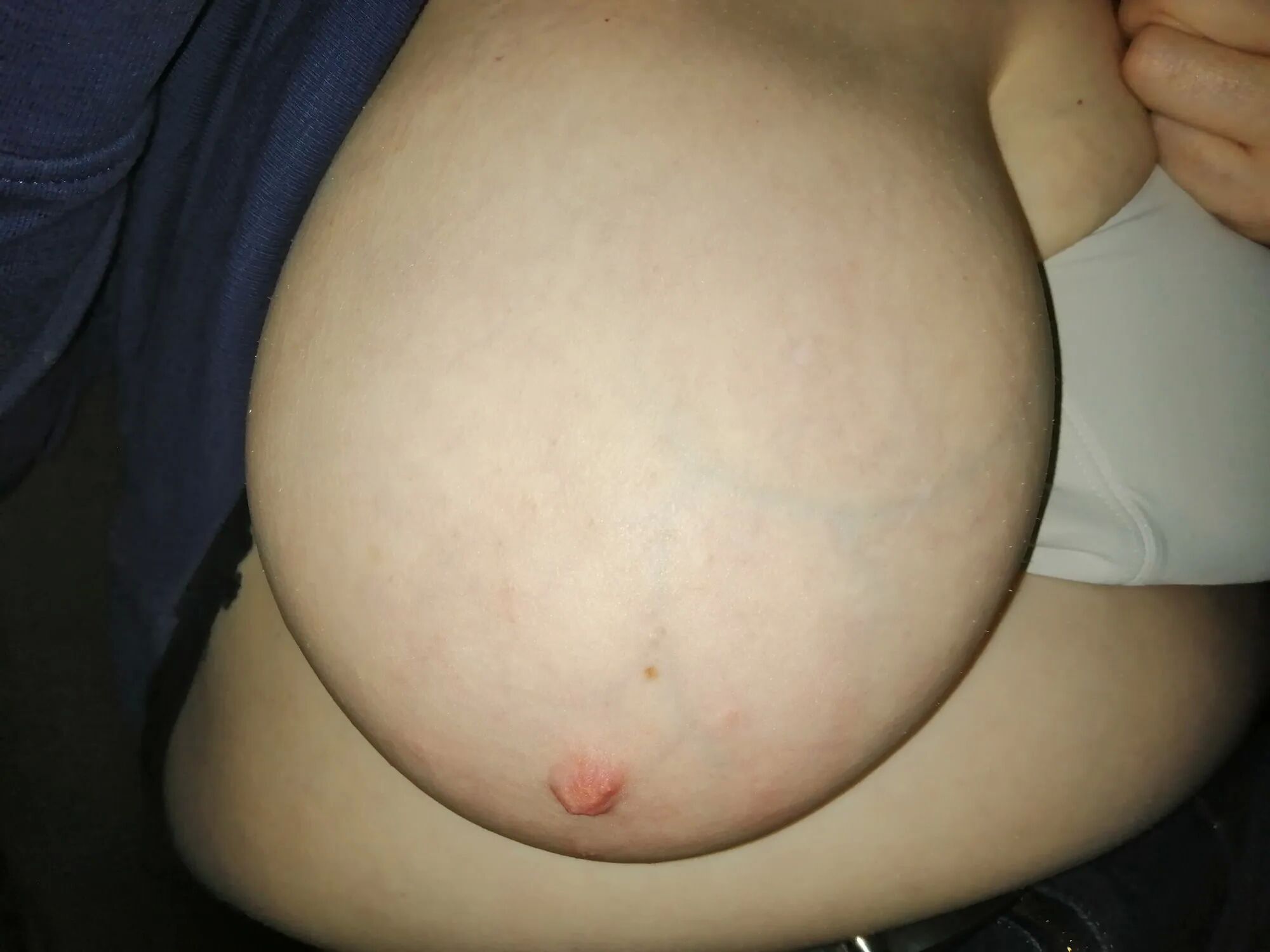 Tits in a car - 46 Pics
