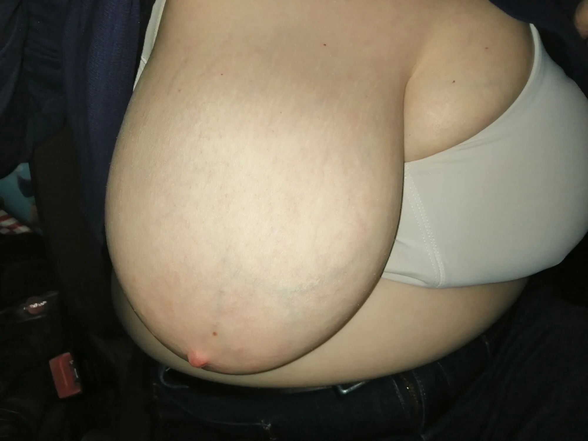Tits in a car - 46 Pics