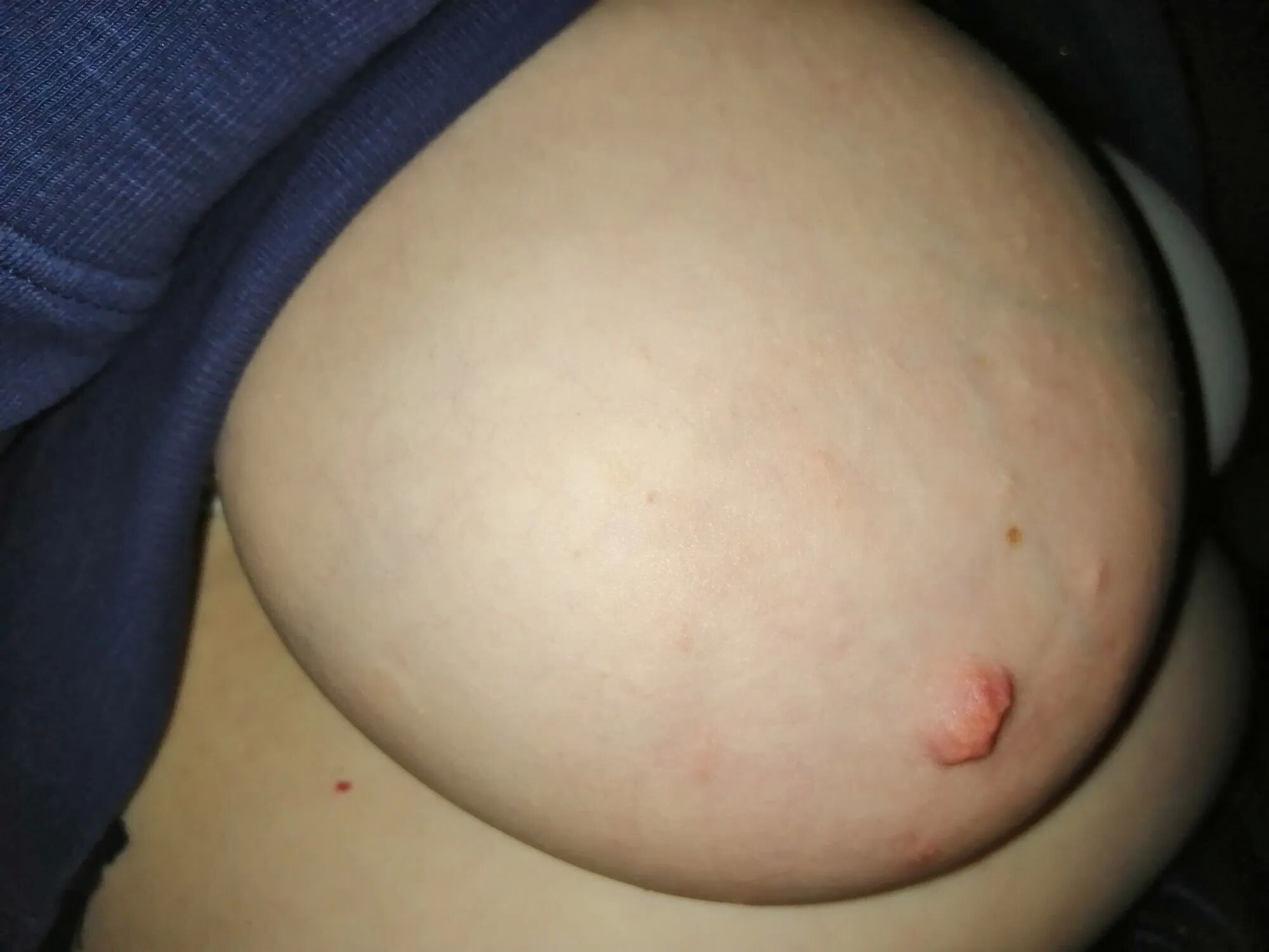 Tits in a car - 46 Pics