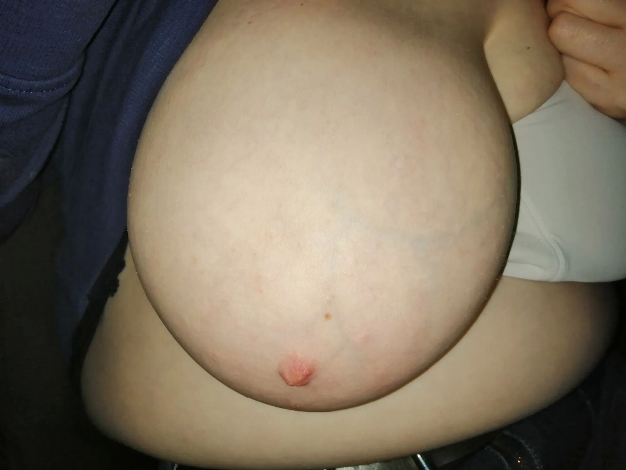 Tits in a car - 46 Pics