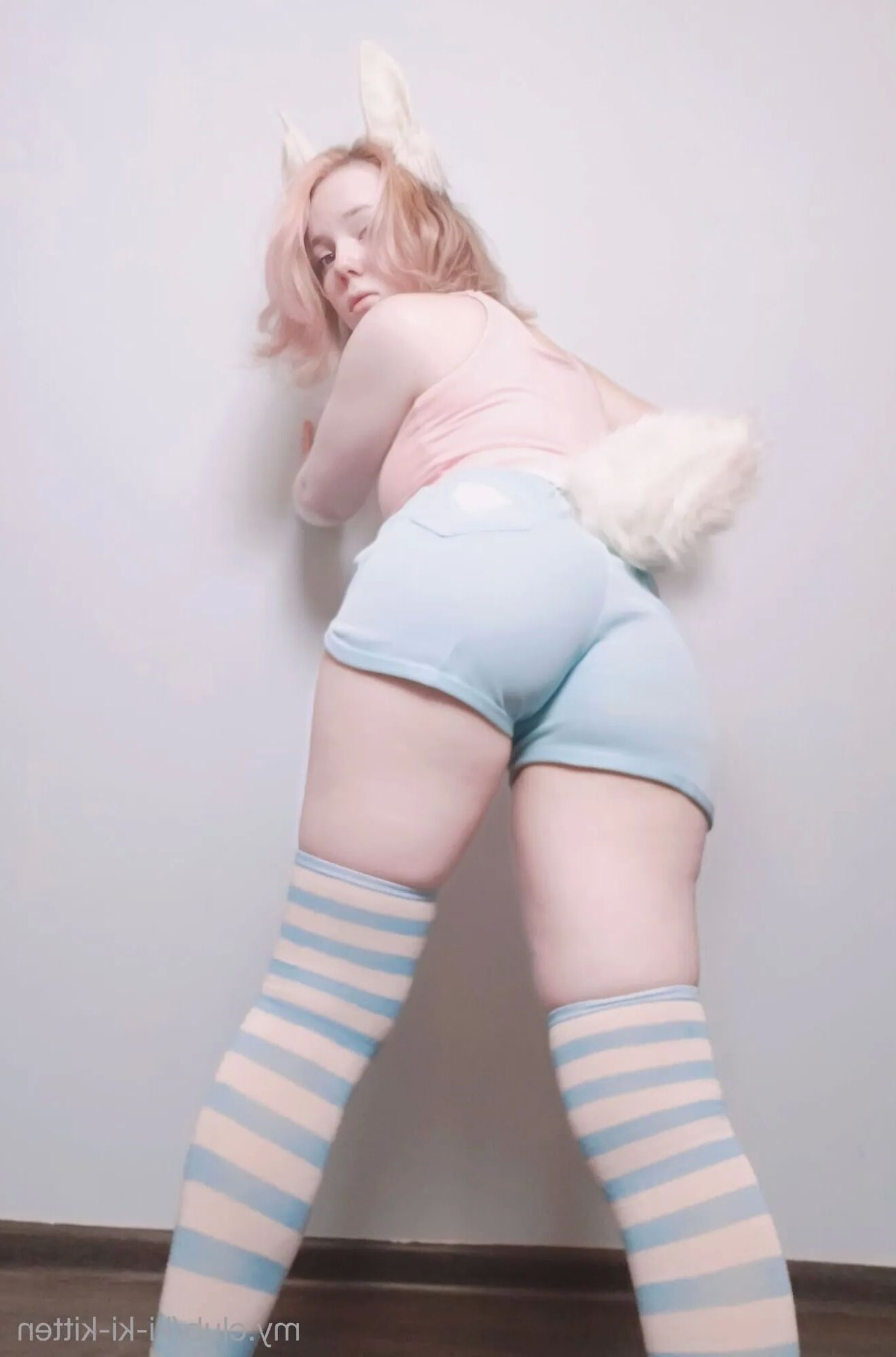 Ki-ki-kitten! Free Photos - 13 Pics