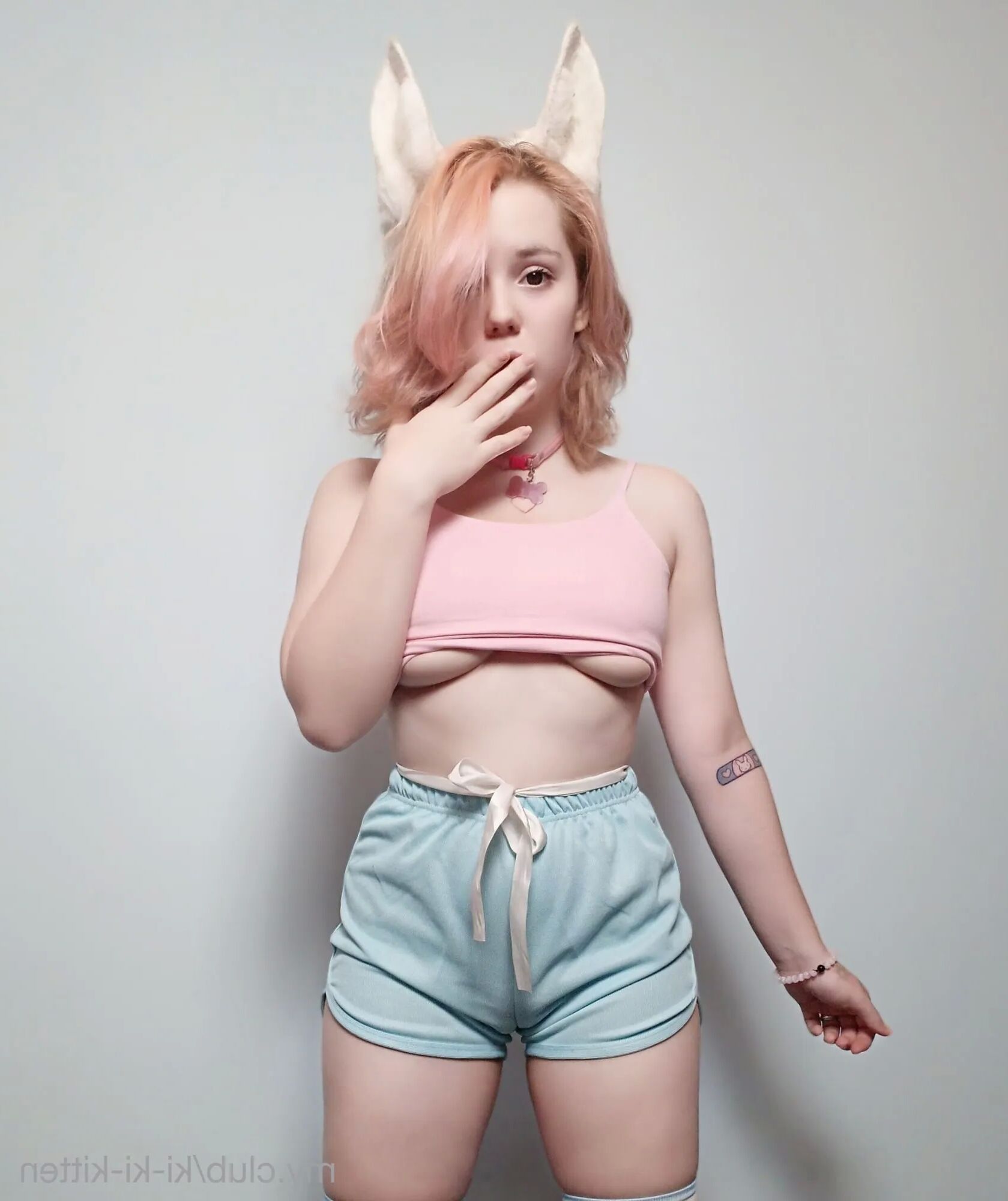 Ki-ki-kitten! Free Photos - 13 Pics