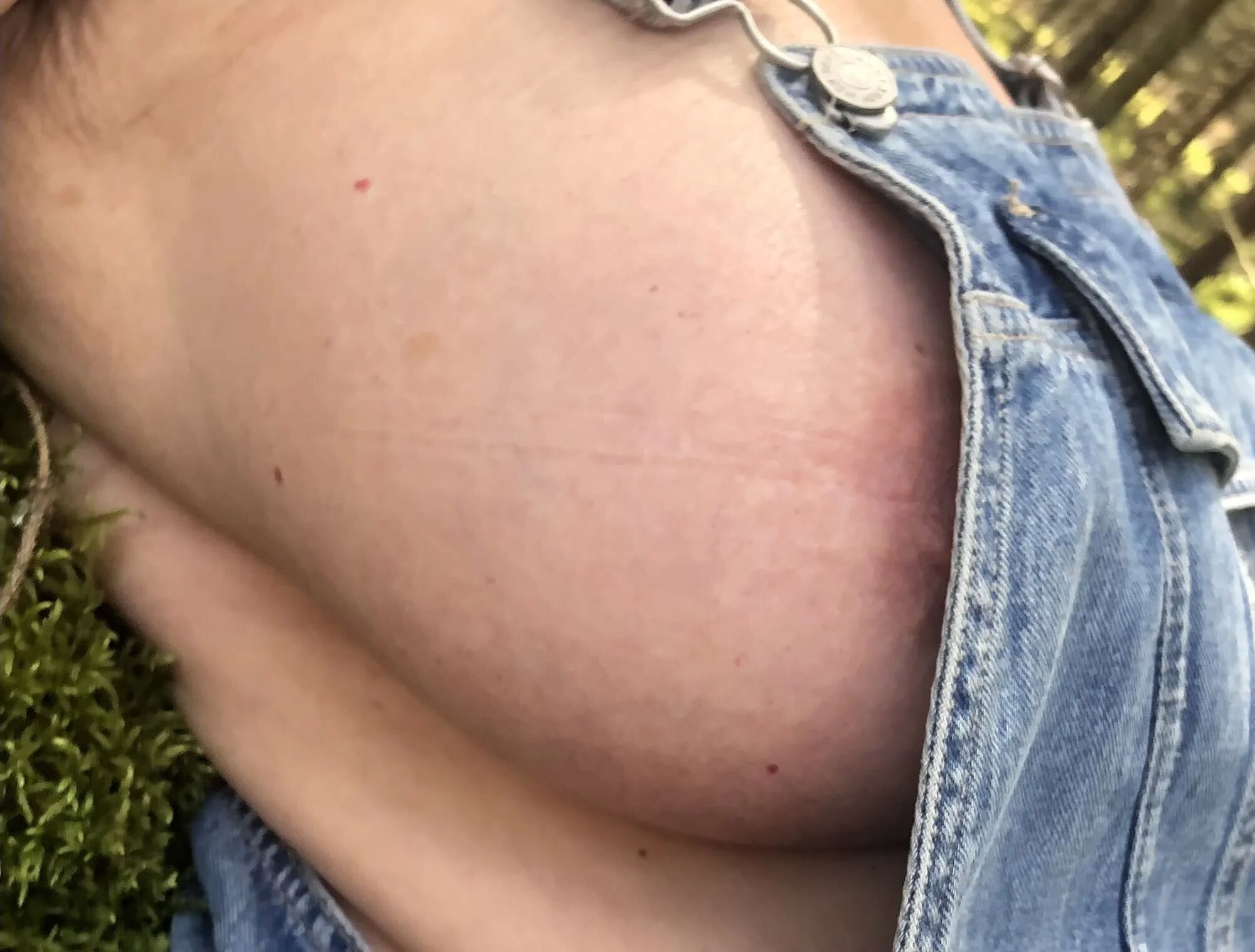 My wife in Swedish summer woods 2023 - 6 Pics