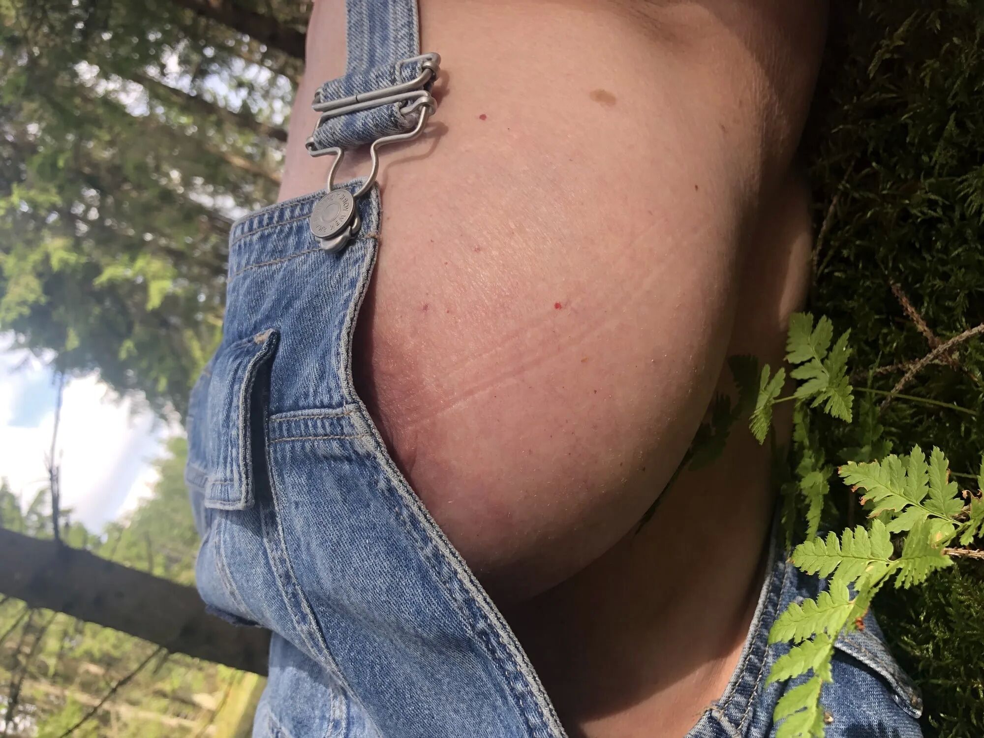My wife in Swedish summer woods 2023 - 6 Pics