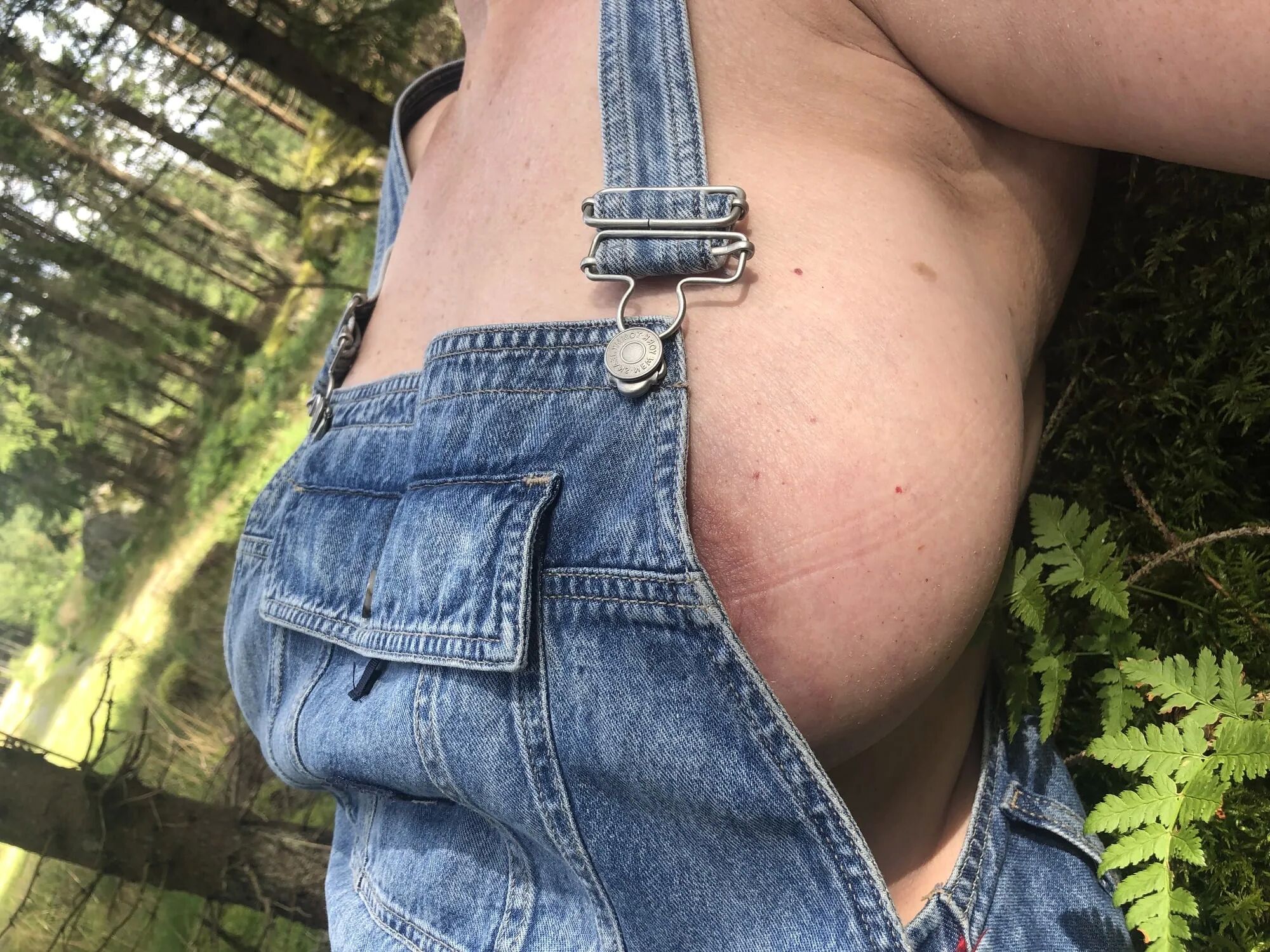 My wife in Swedish summer woods 2023 - 6 Pics