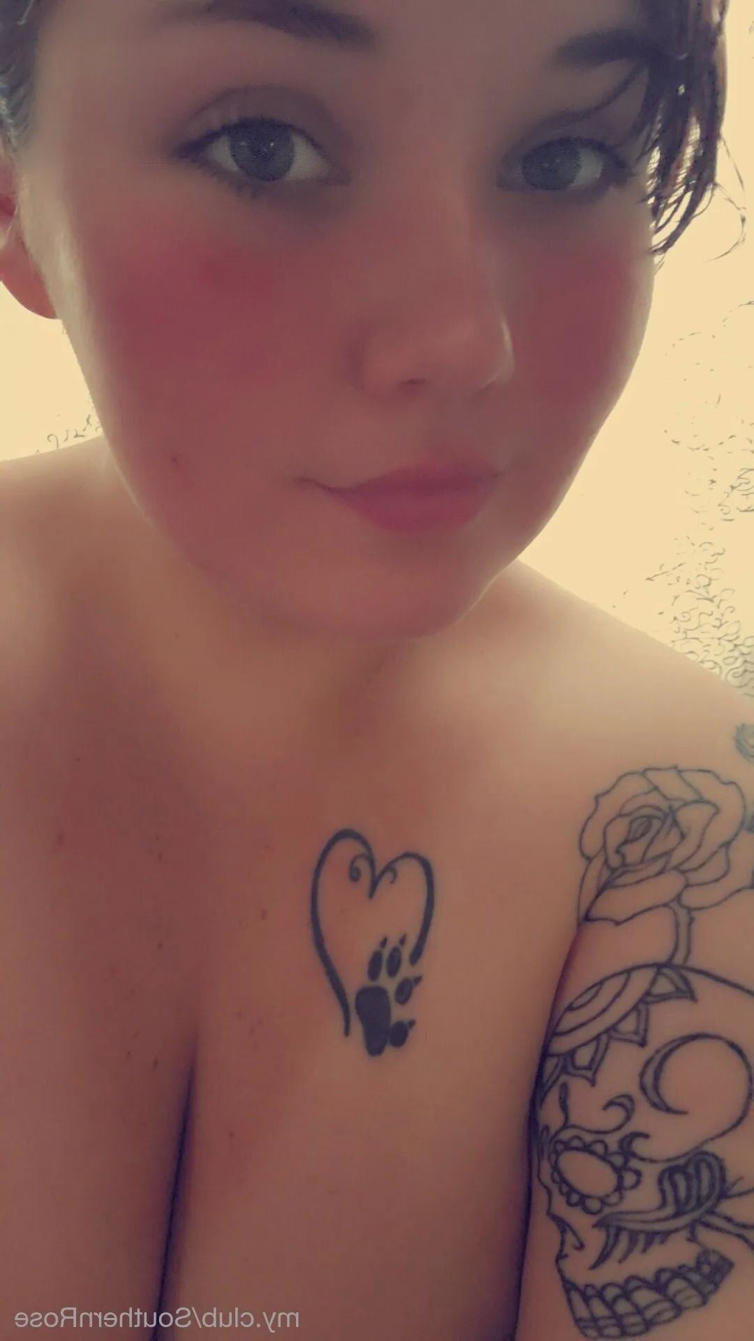Rose Free Photos - 9 Pics