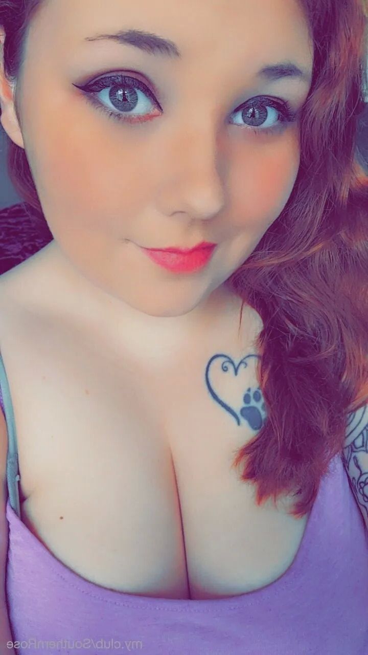 Rose Free Photos - 9 Pics