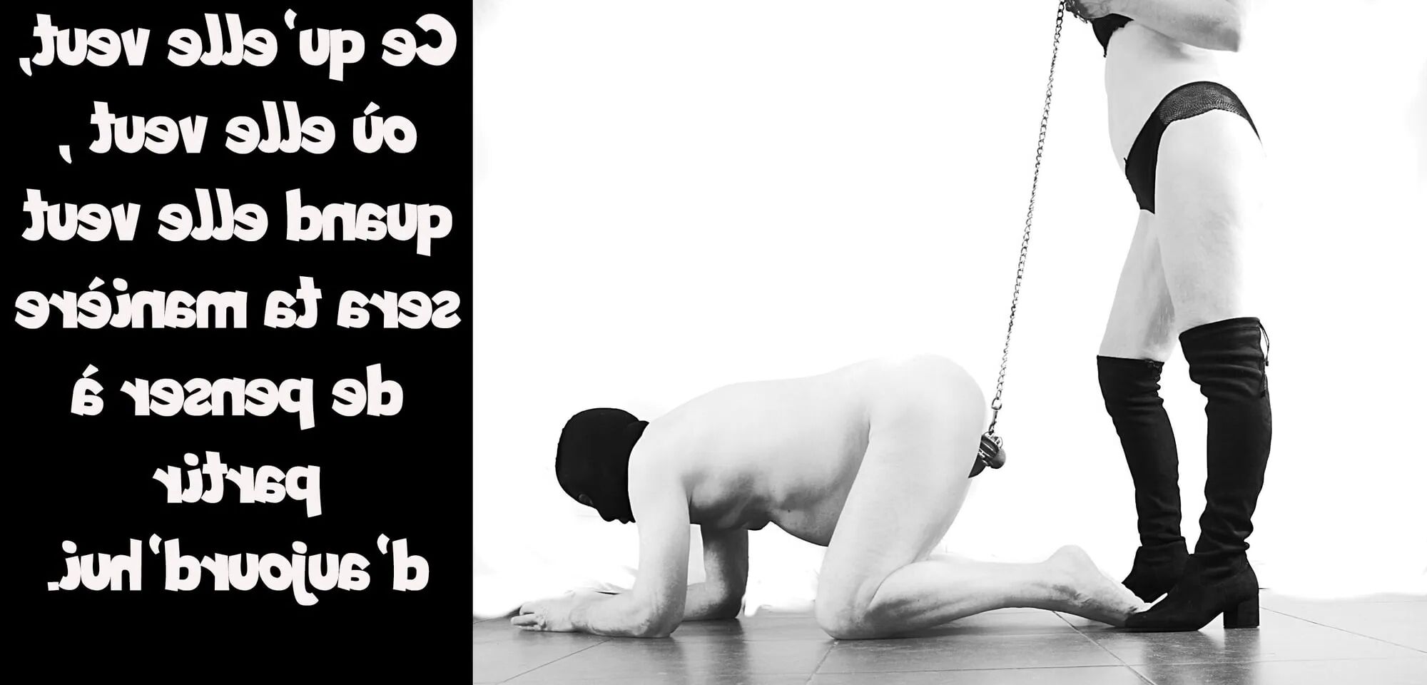 Femdom sissy chastity 4050-4150 - 63 Pics