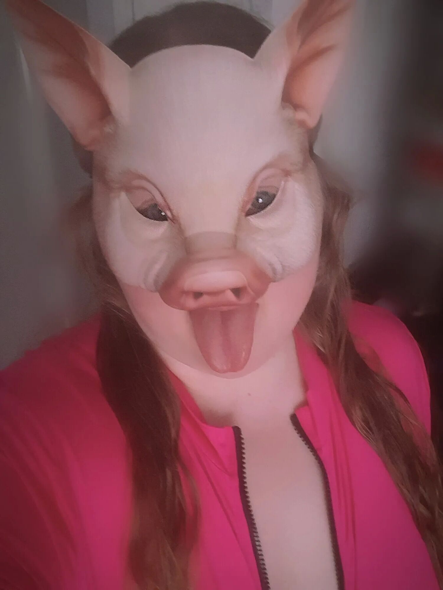Oink oink - 6 Pics
