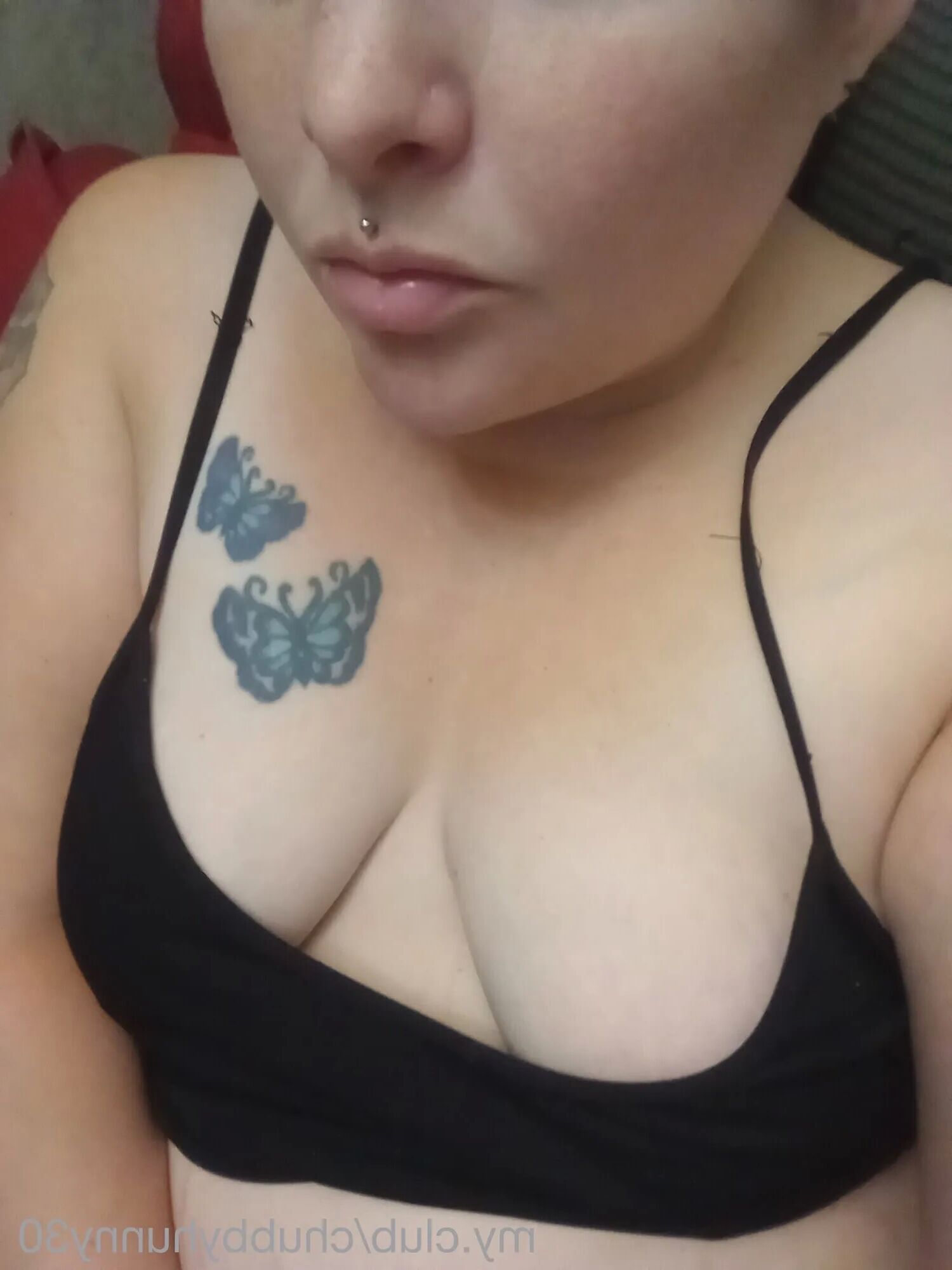 Hunnybun Free Photos - 7 Pics