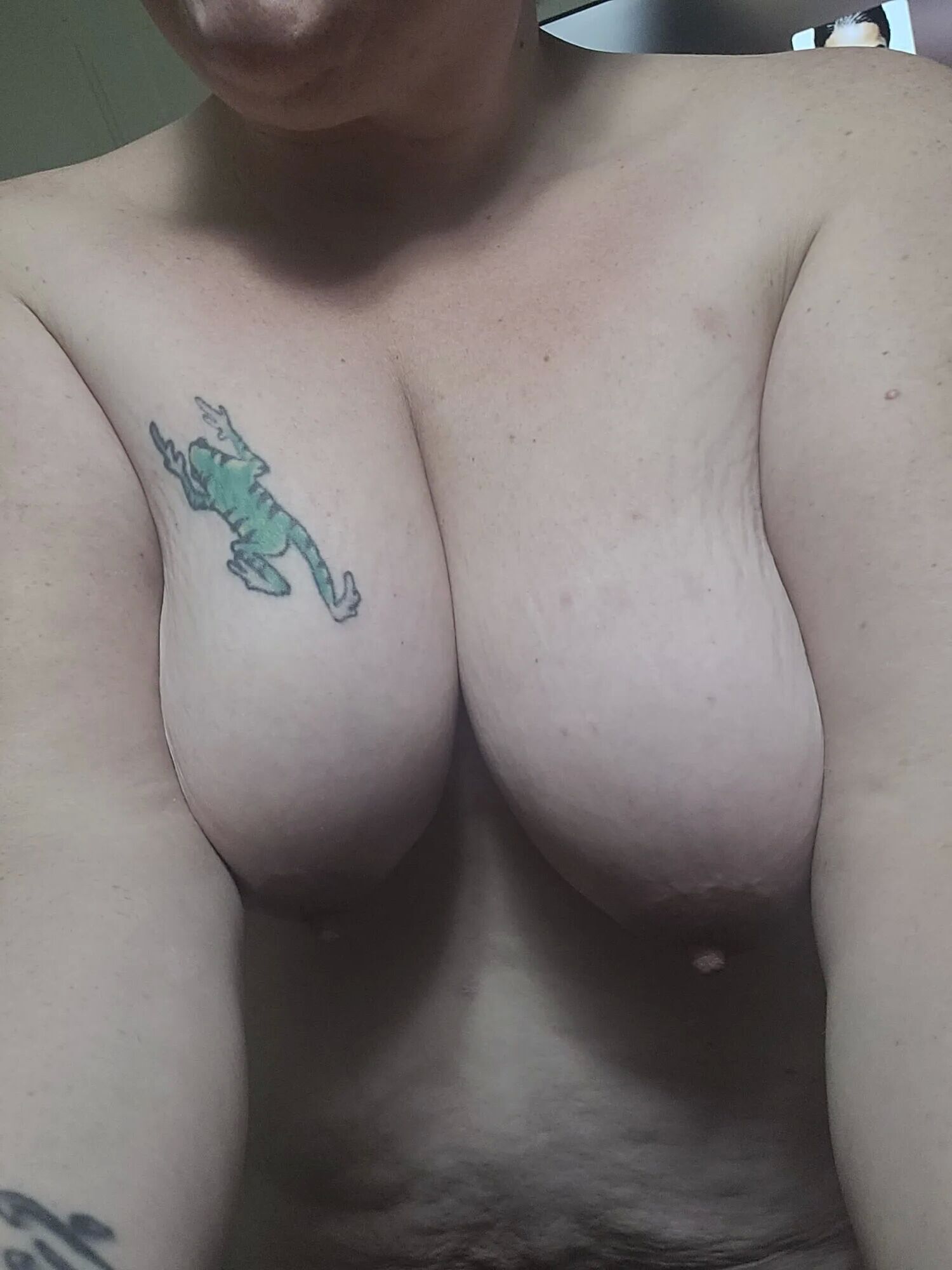 Bigpussi - 10 Pics