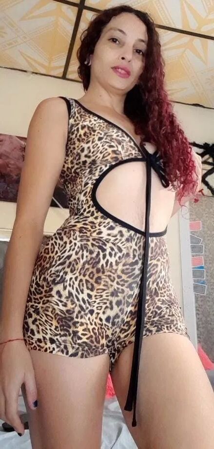 You like cats - 5 Pics
