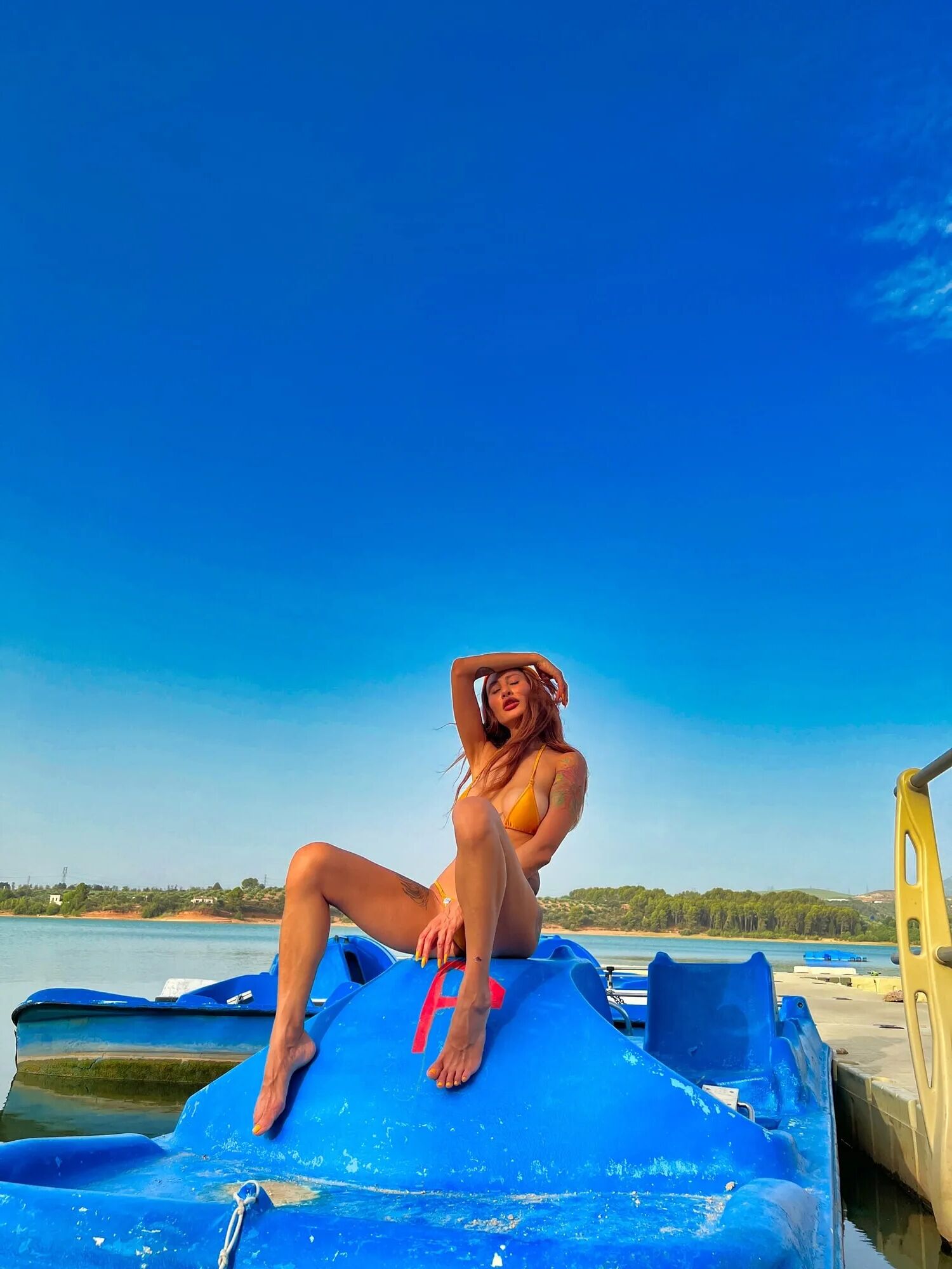 Big boobs tattoed MILF xAmbretta tans in micro bikini - 65 Pics