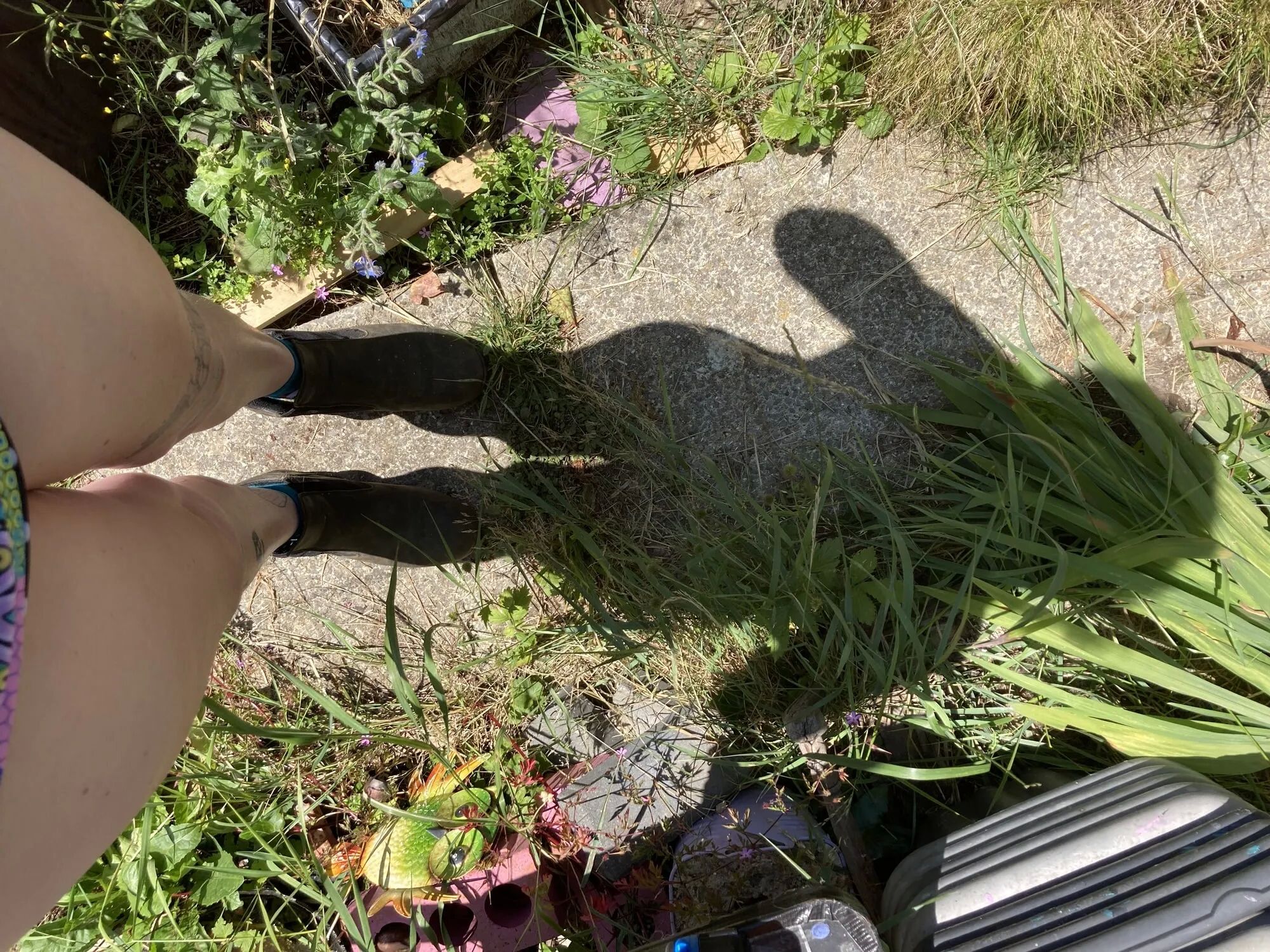 You’re laying in my garden whilst I reach over in a bikini - 25 Pics