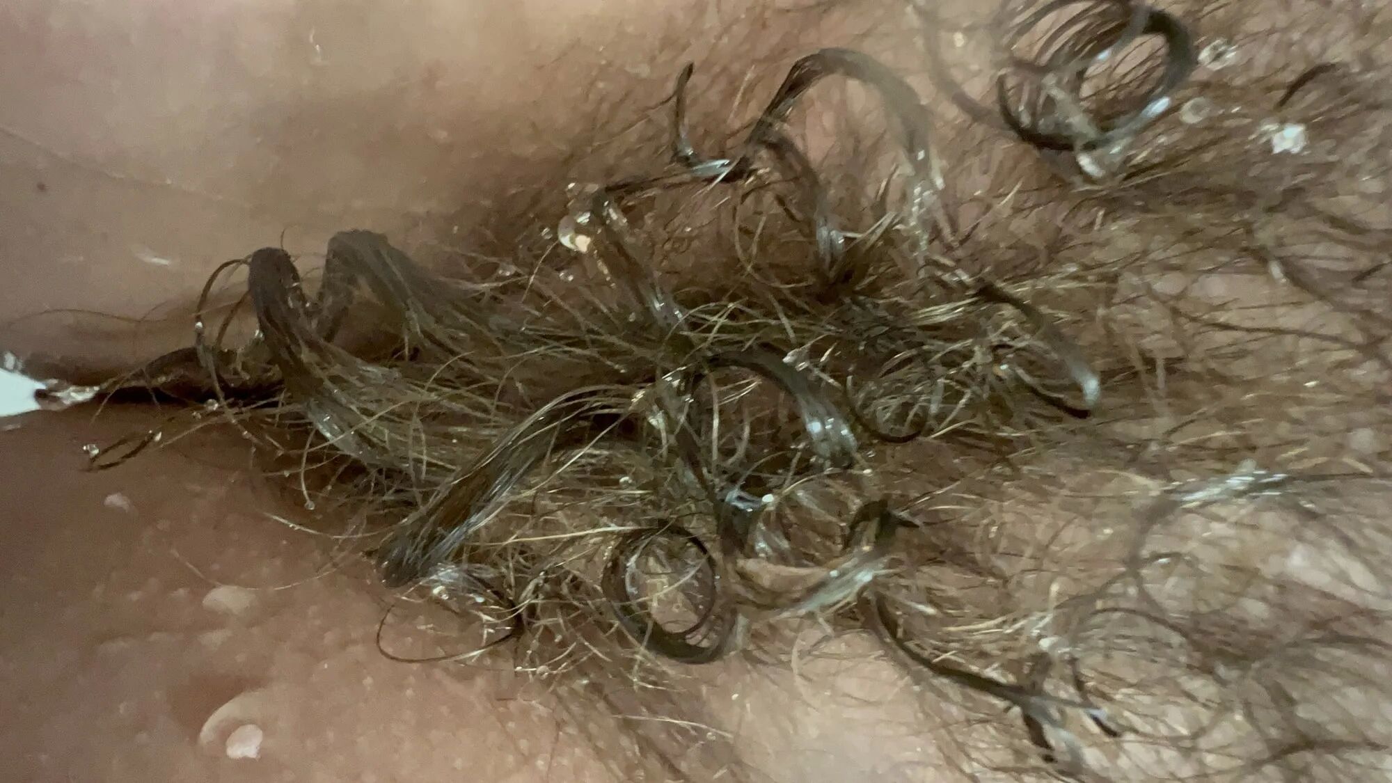 Wife exposed, hairy amateur wife posing and teasing - 19 Pics